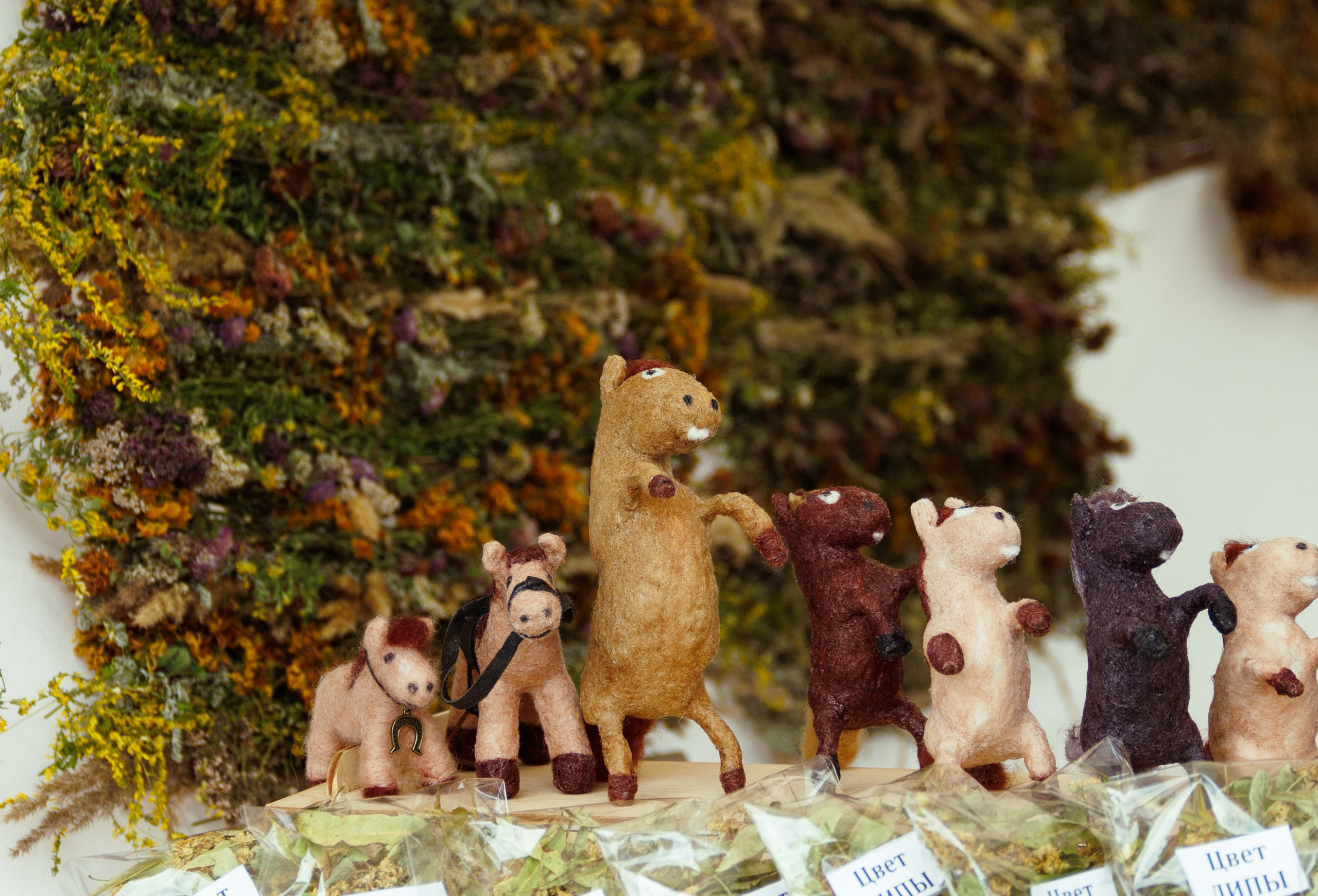 Фестиваль «На Рахате» 2025. Фотограф мероприятий и спорта: юбилеев, дней рождений и корпоративов из Москвы