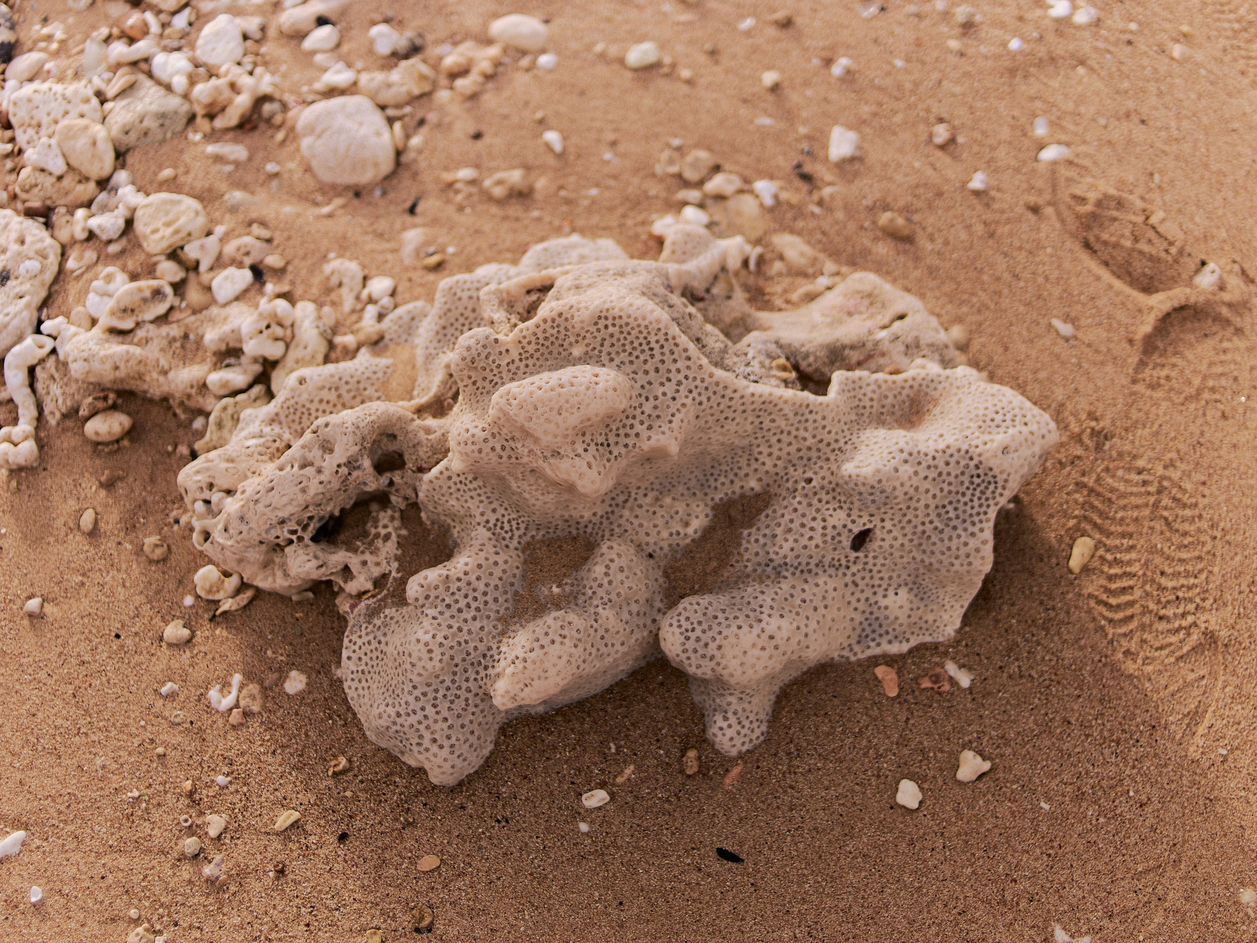 Улица горизонтальная. Jorgis — фотограф в Хургаде / обучение фотографии