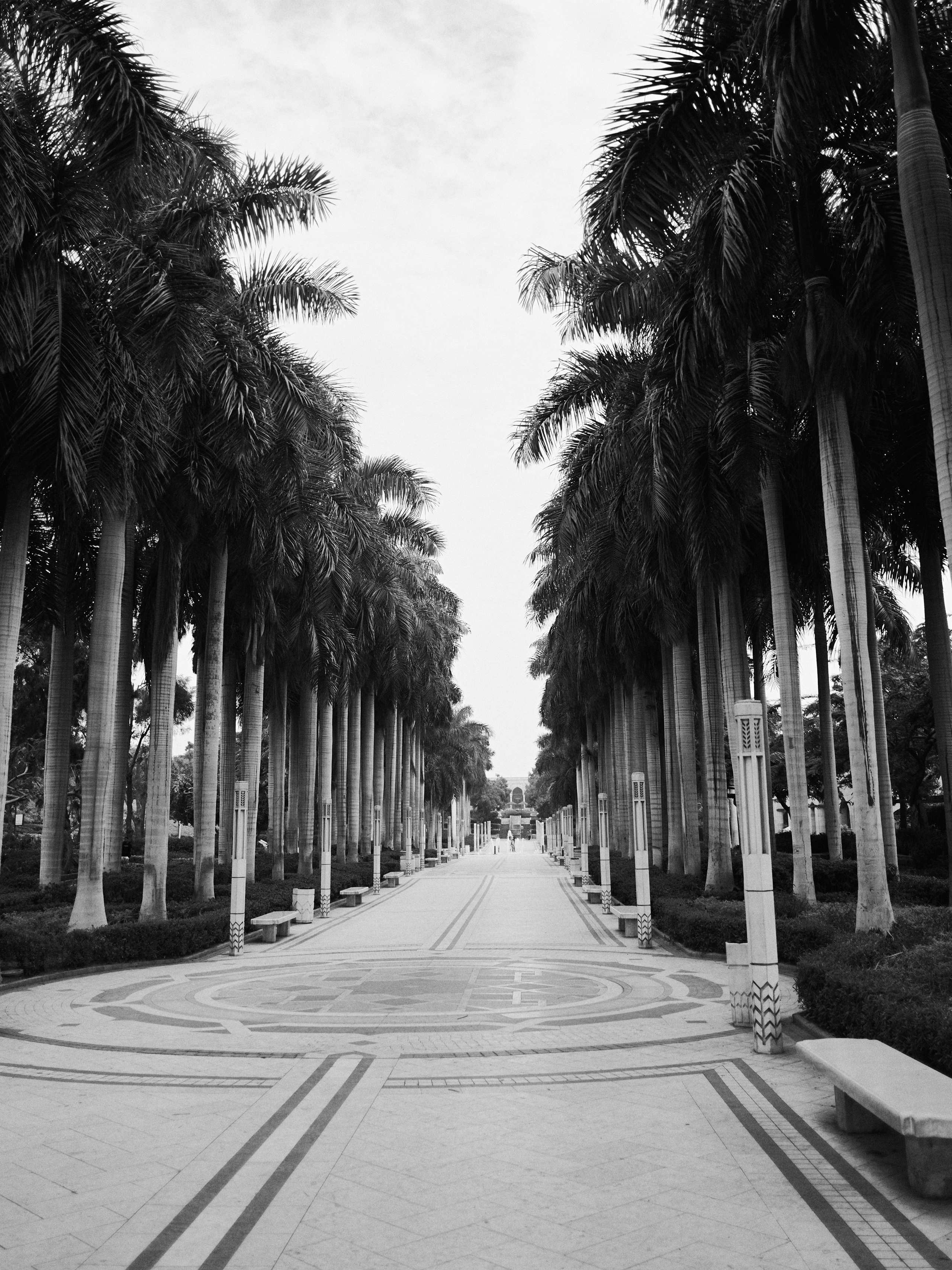 Другое 4. Jorgis — фотограф в Хургаде / обучение фотографии