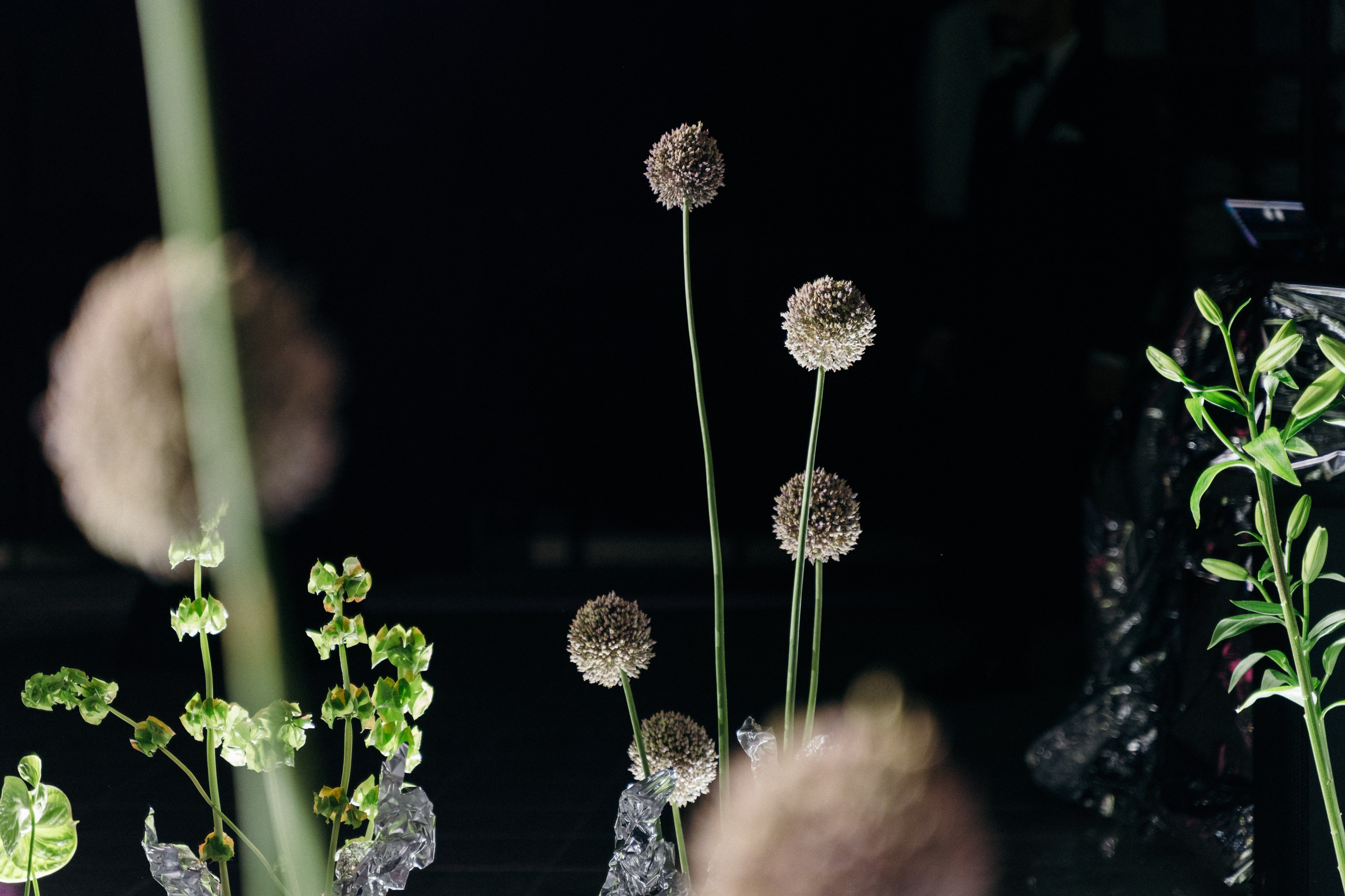 Husband открытие. Свадебный фотограф в Краснодаре и Сочи Винидиктова Екатерина