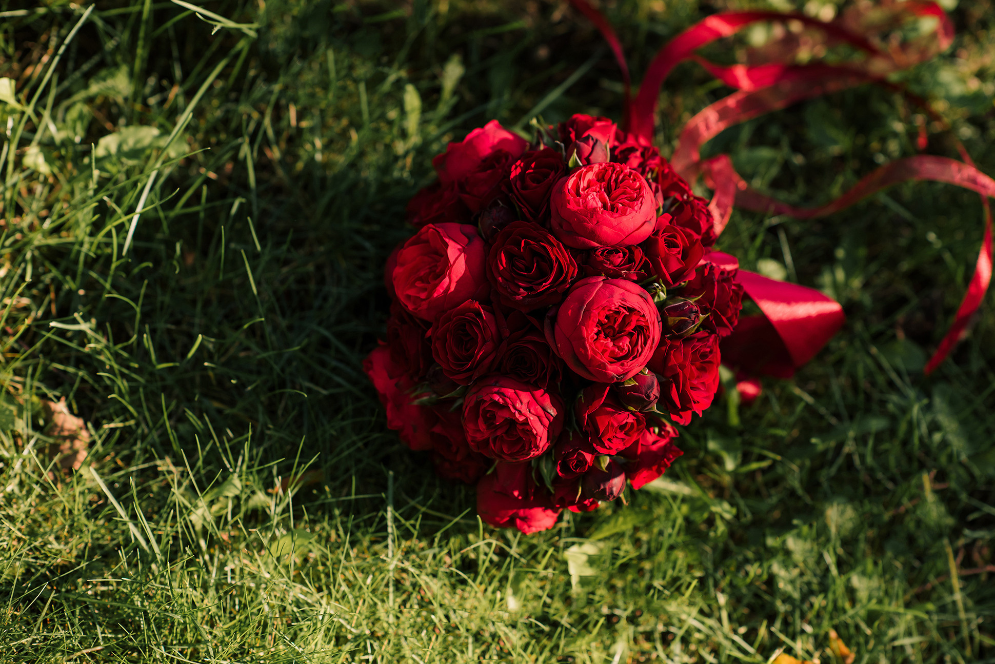Алёна и Андрей. Елагин остров. Семейный и Свадебный фотограф. Санкт-Петербург. Пушкин