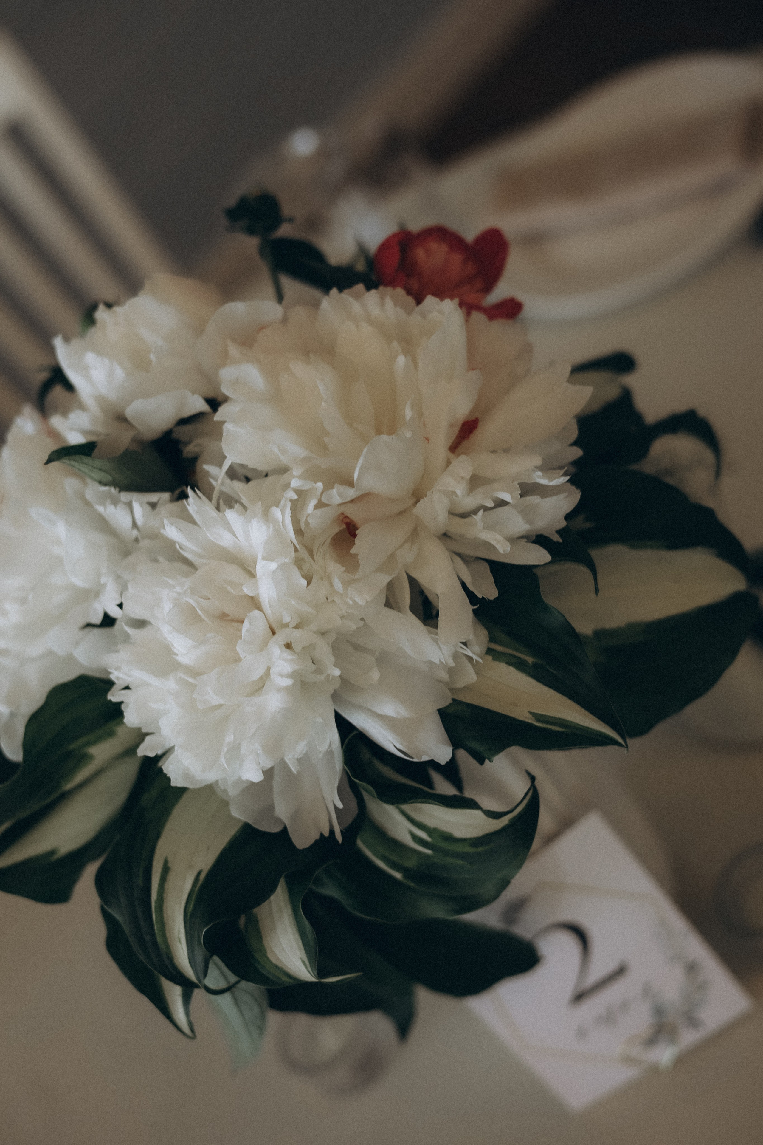 𝒮𝑒𝓇𝑔𝑒𝓎 & 𝒥𝓊𝓁𝒾𝒶. Свадебный фотограф в Санкт-Петербурге