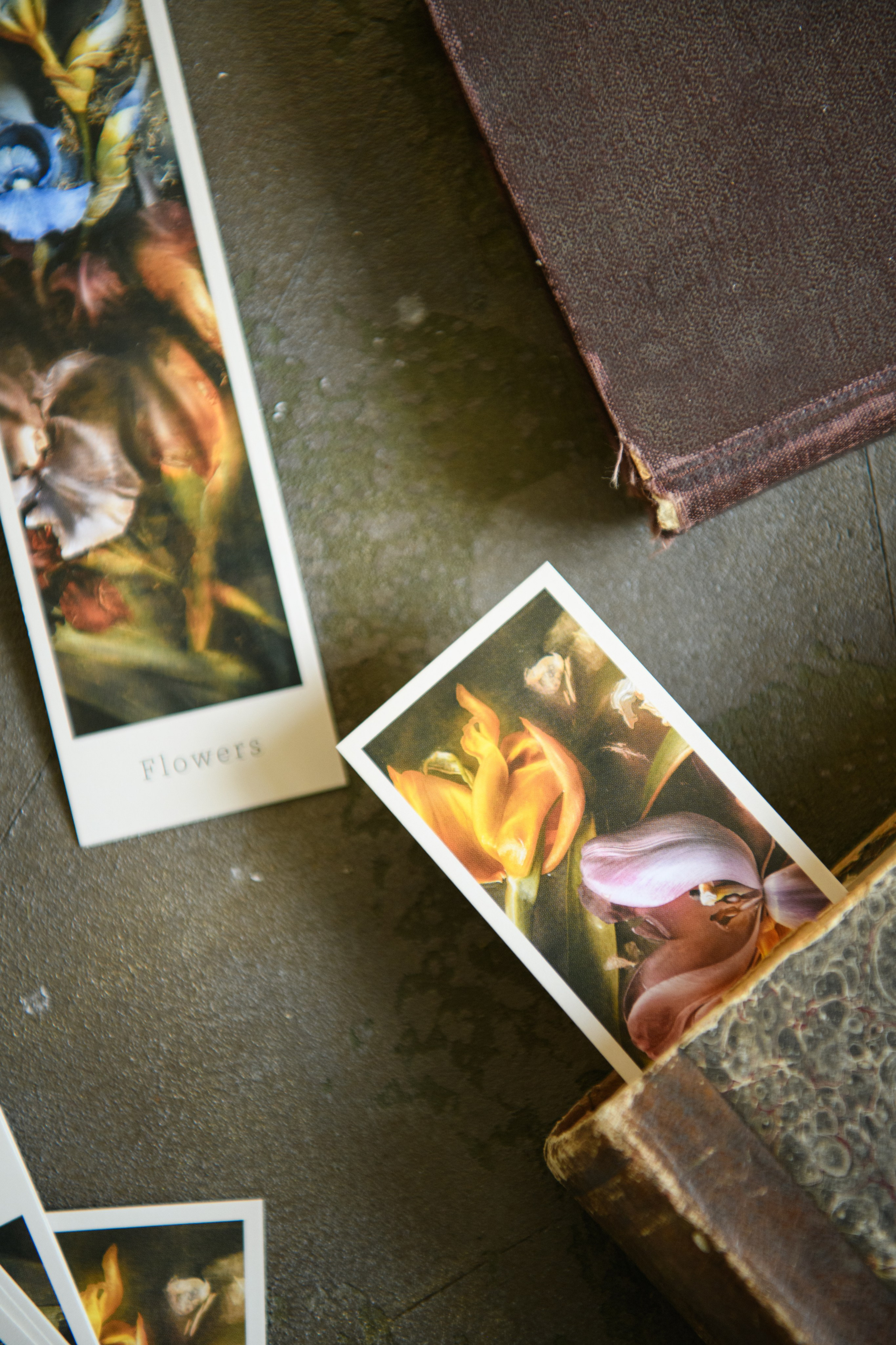 На этой странице представлены серии открыток, а также наборы открыток и закладки для книг. Печатная продукция для подарков и коллекций