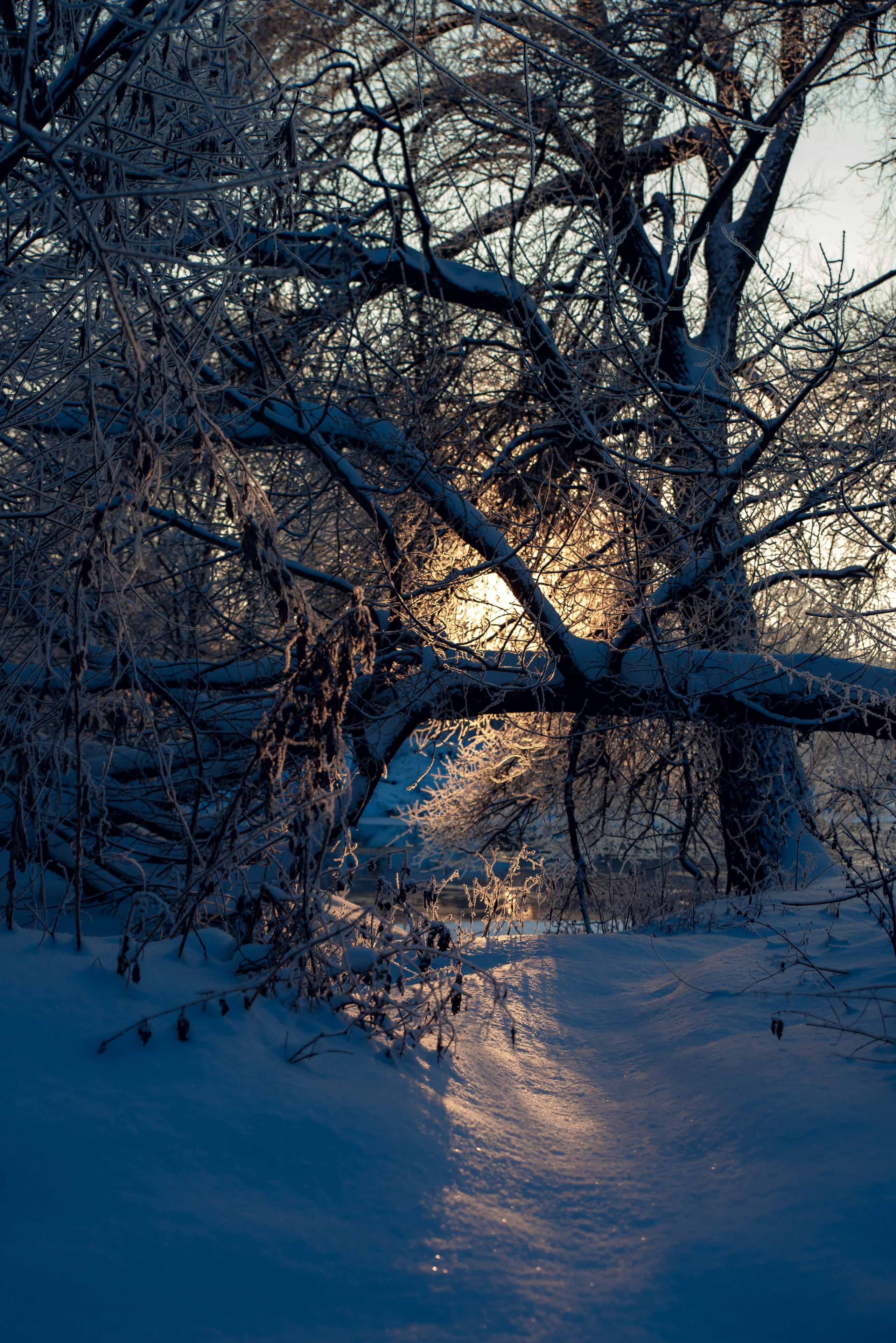 Зимушка зима. Фотограф Крещение Венчание Москва