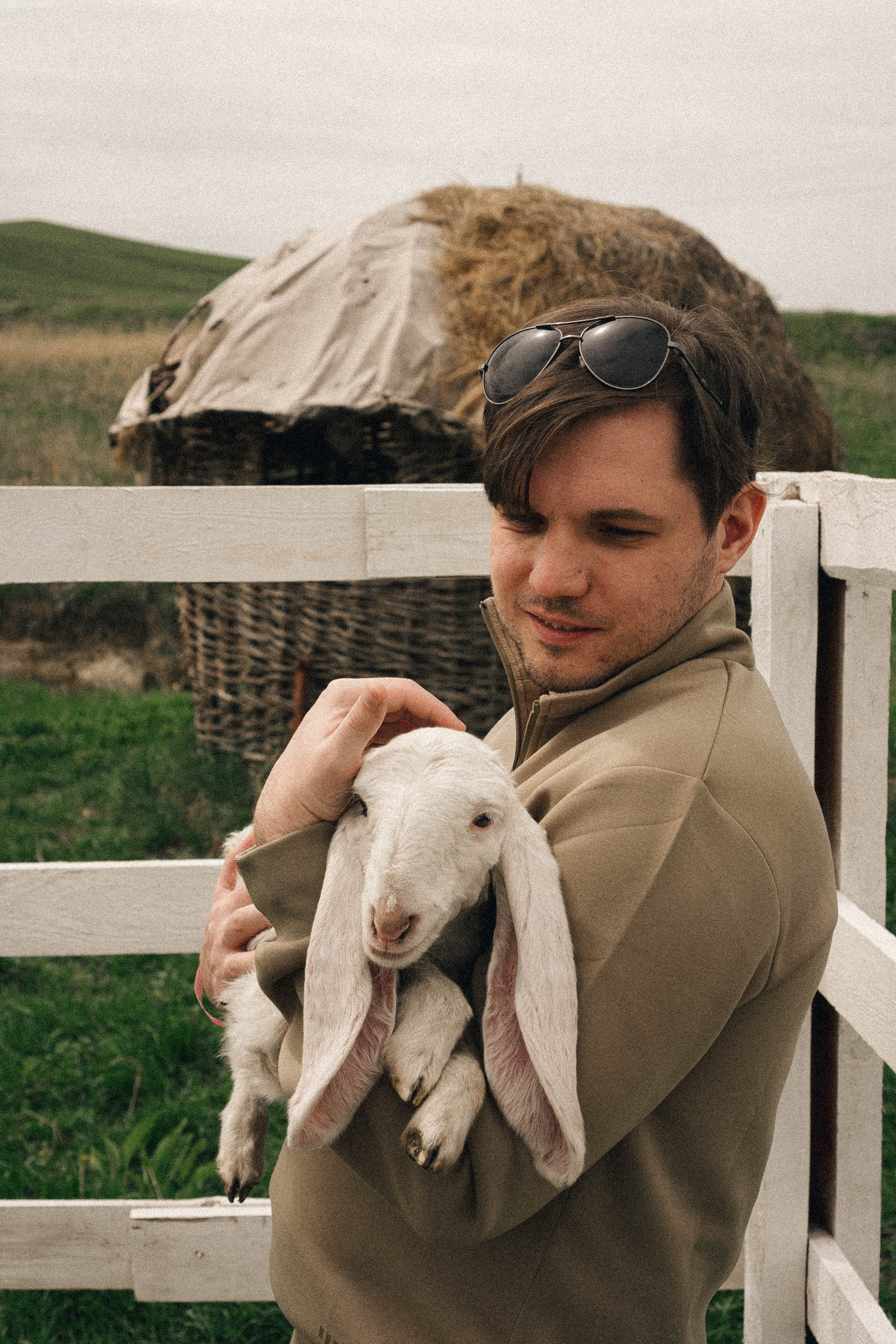 Ферма Альпак. Профессиональный фотограф, Санкт-Петербург — Виктория Богомолова