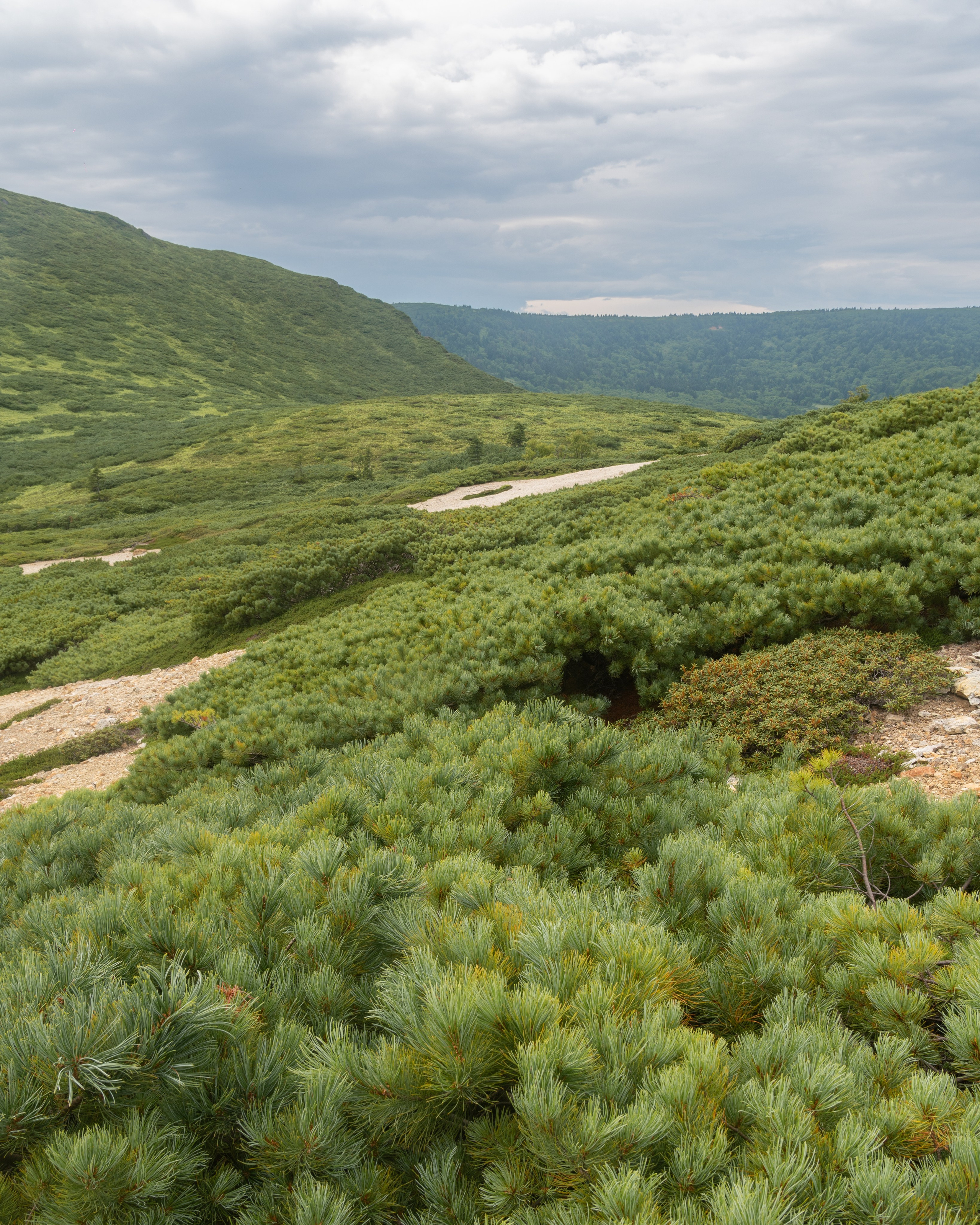 Курильские острова. Gusarov Travel Photography