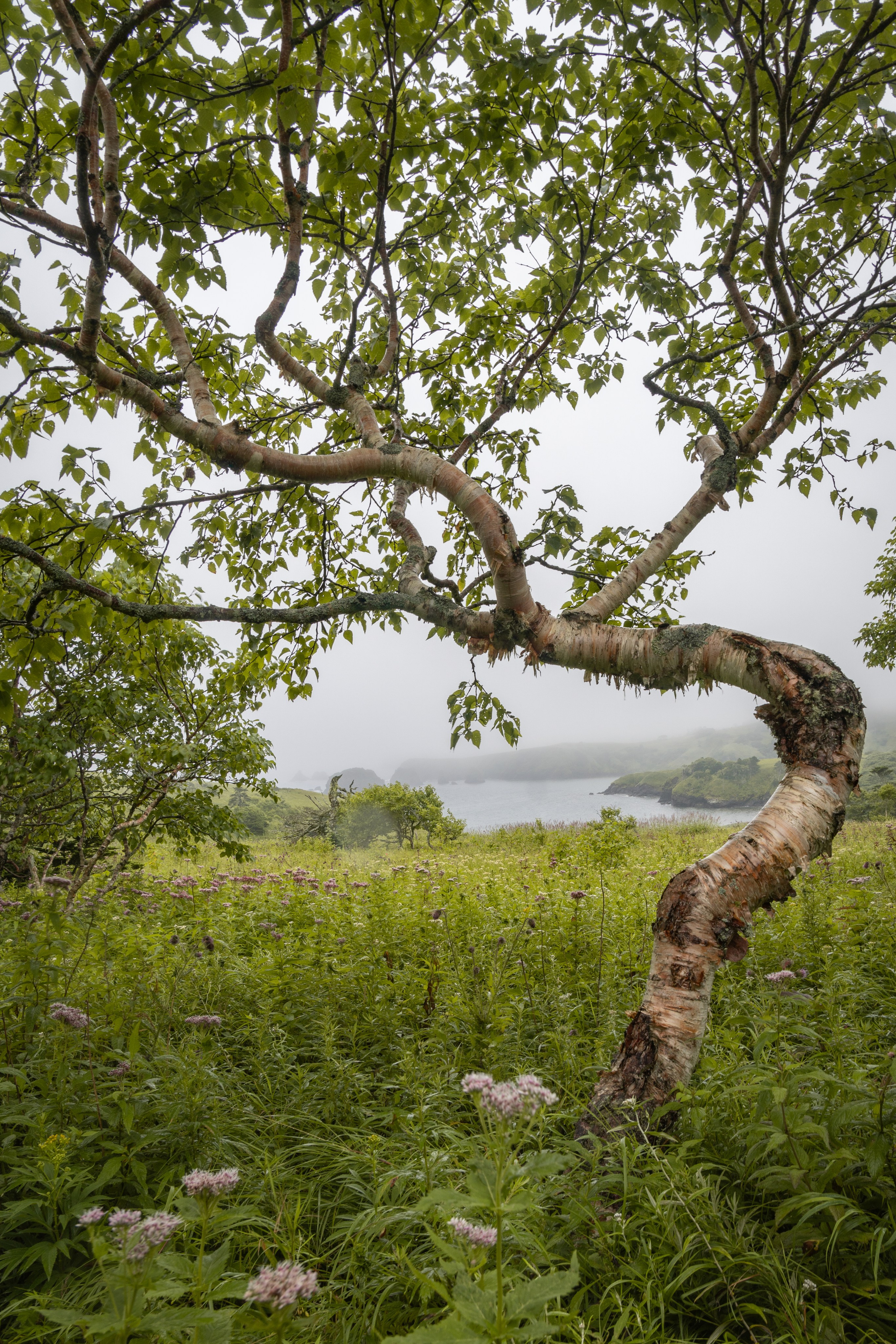 Курильские острова. Gusarov Travel Photography