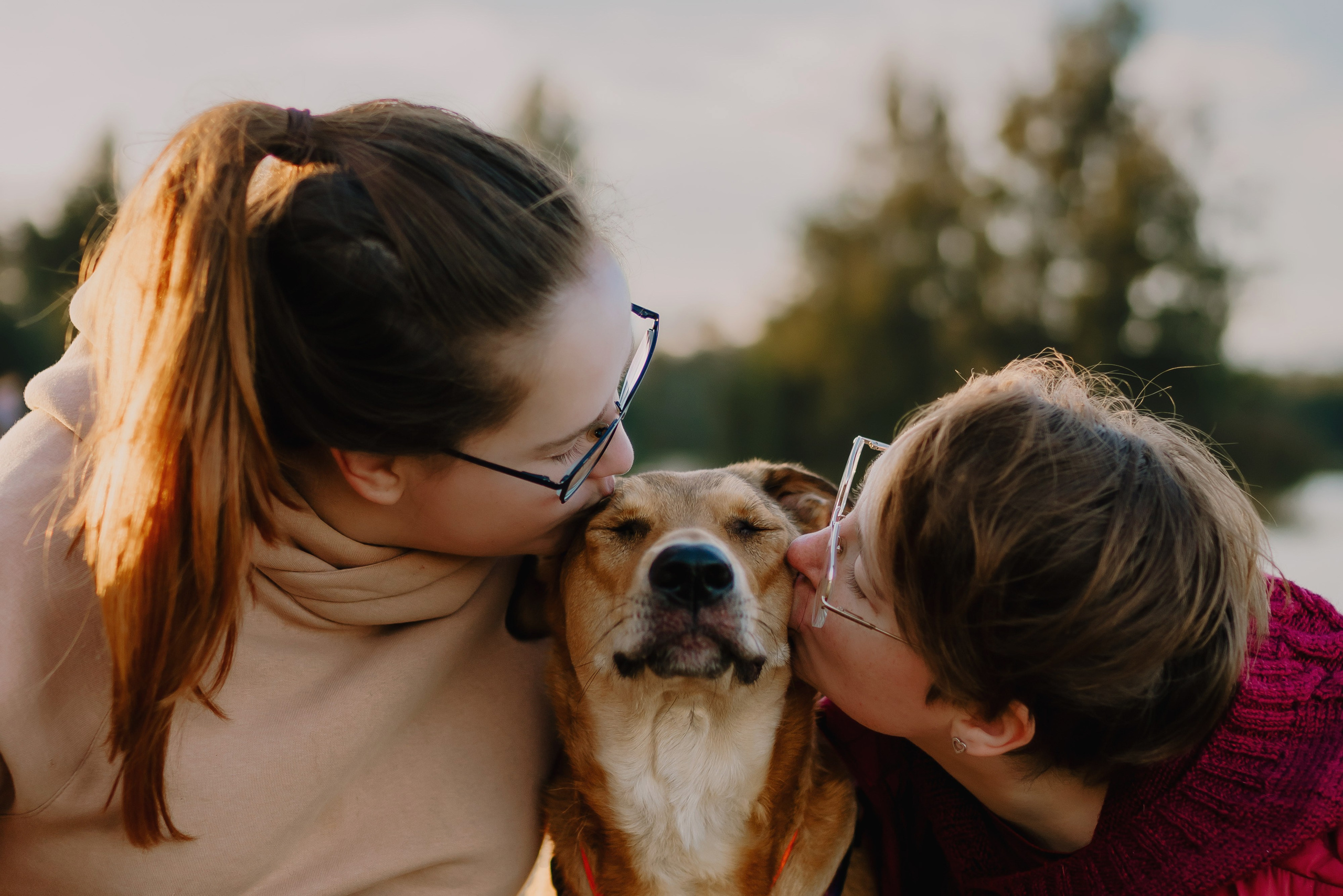 Семейная фотосессия с двумя собаками на закате. Фотограф анималист в Спб недорого Олеся Майорова