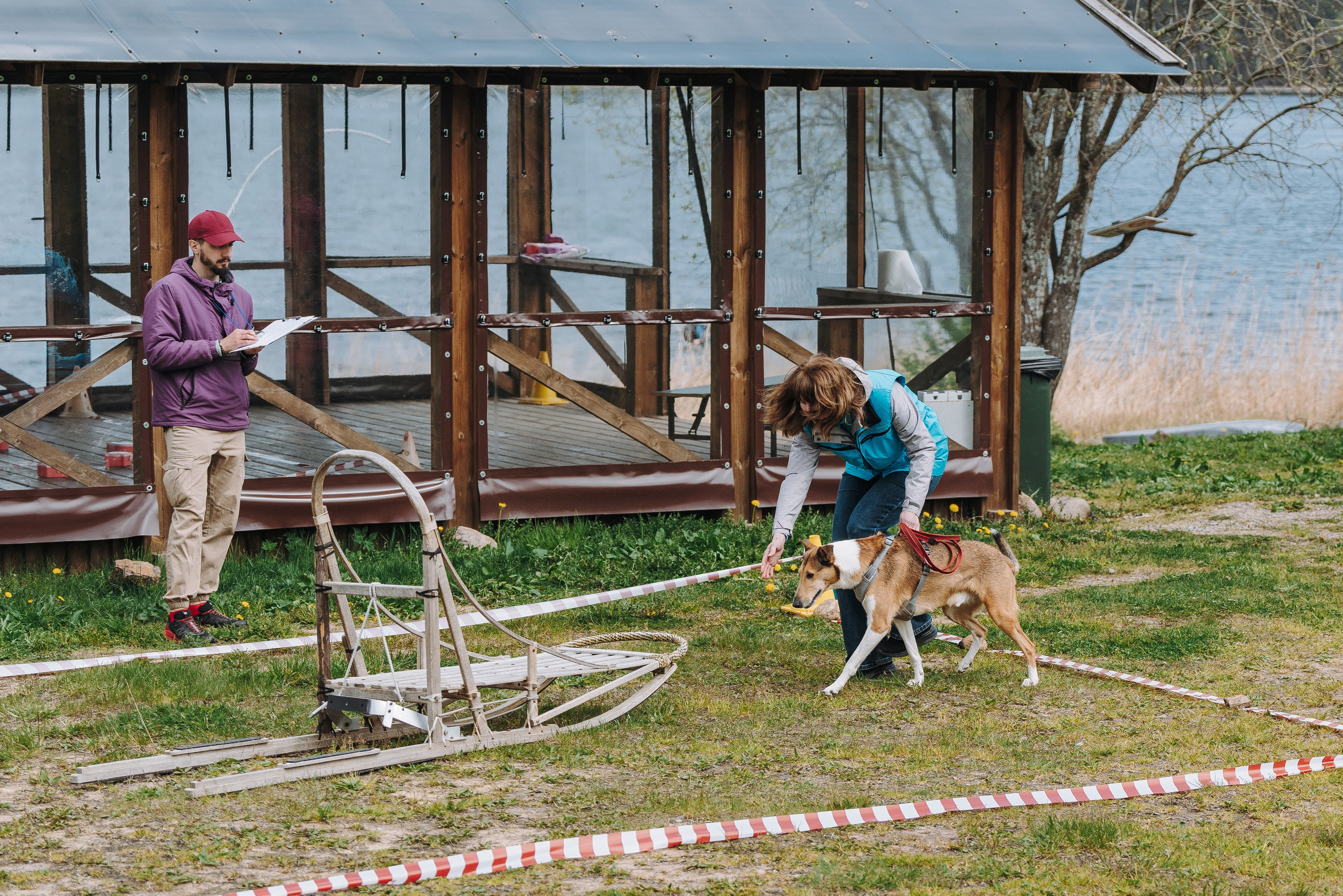 Соревнования по ноузворку в Лосево. Фотограф анималист в Спб недорого Олеся Майорова