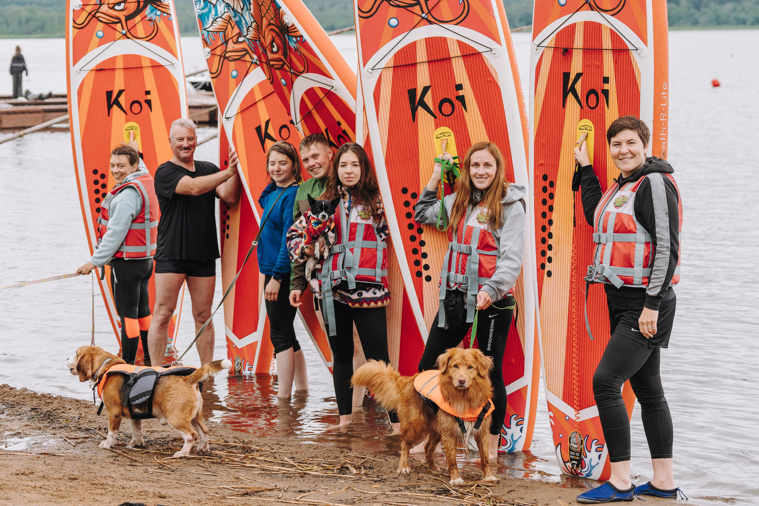 Катание на сапах с собаками. Фотограф анималист в Спб недорого Олеся Майорова