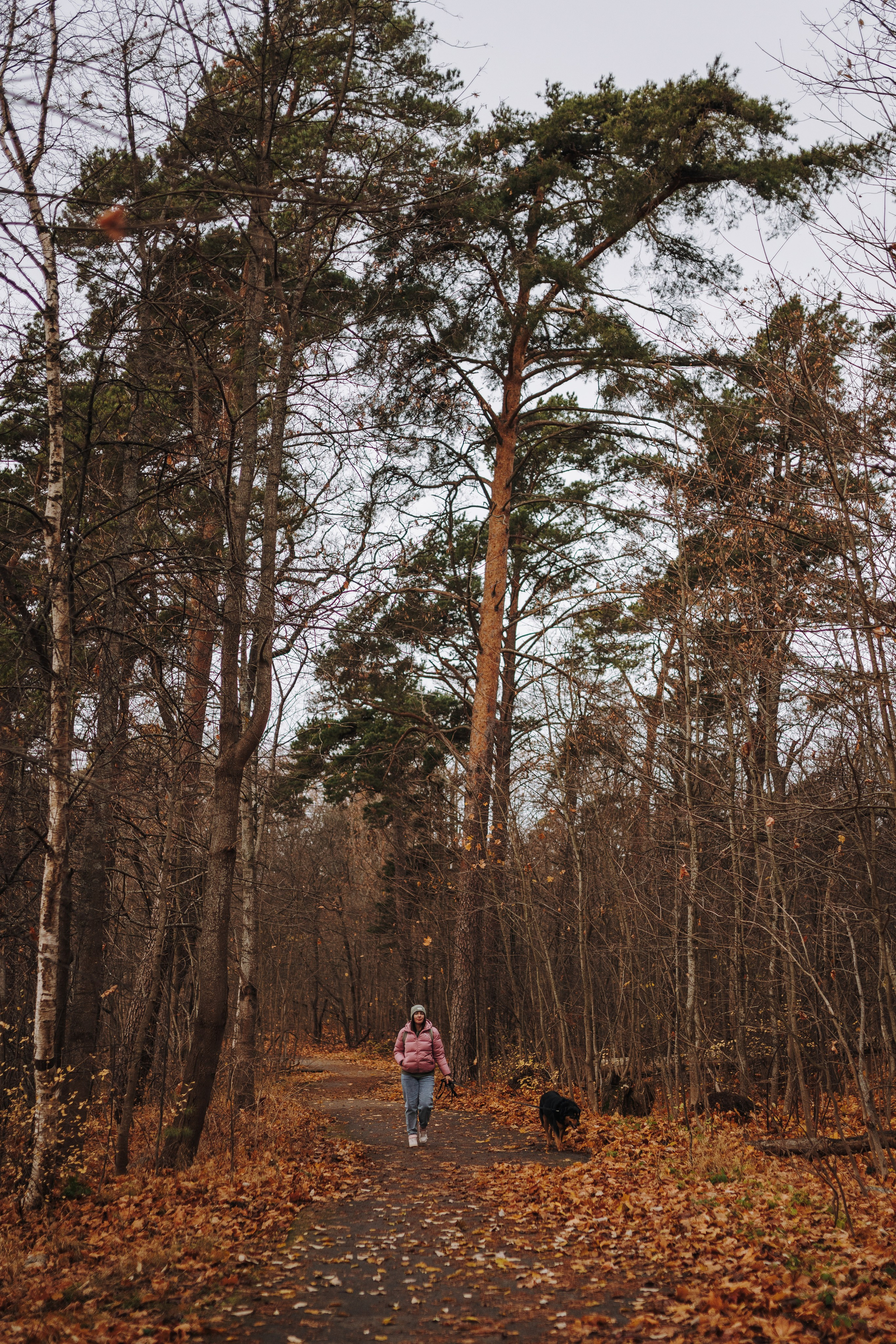 Глаша и Любовь. Фотограф анималист в Спб недорого Олеся Майорова