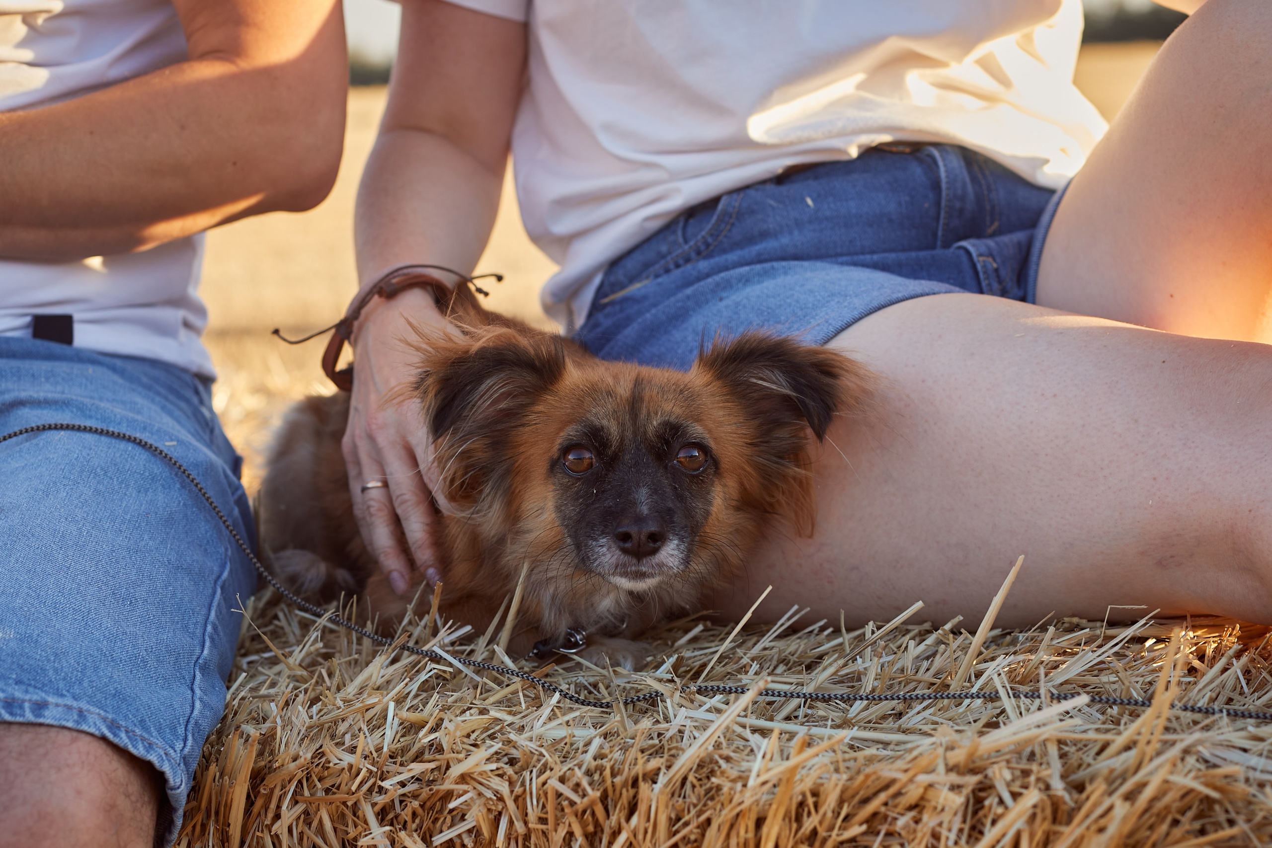 «Семья с лапками». Свадебный и креативный фотограф в ЮФО и МСК