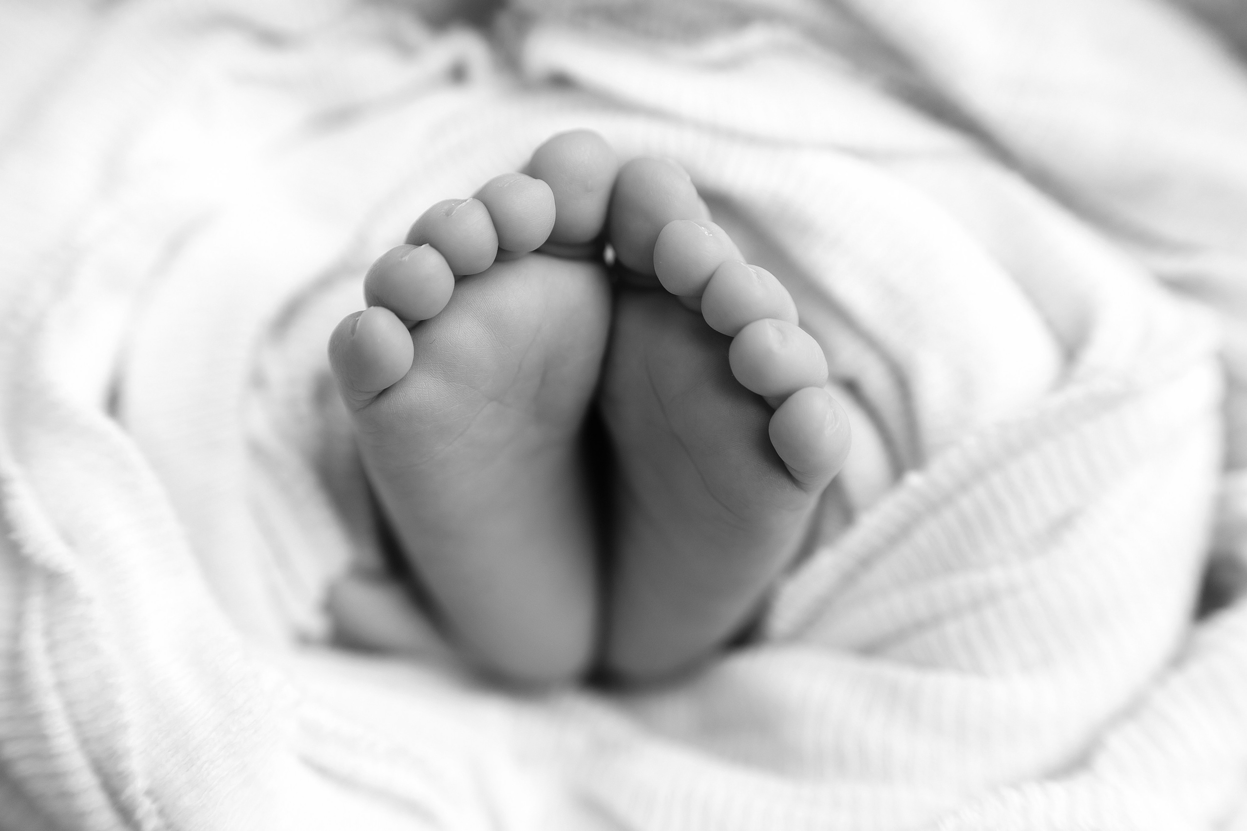 ПАКЕТ «Simple». Главная