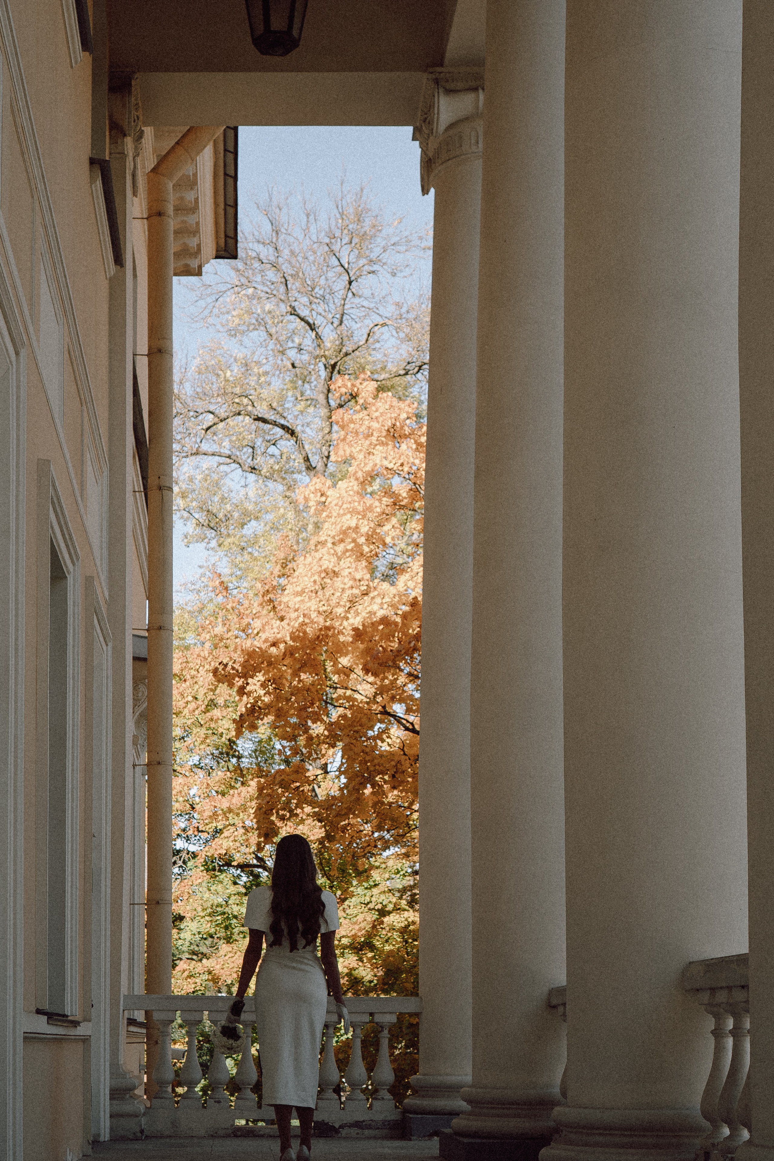 СВАДЕБНАЯ СЬЕМКА В ПУШКИН. Профессиональный фотограф, Санкт-Петербург — Виктория Богомолова