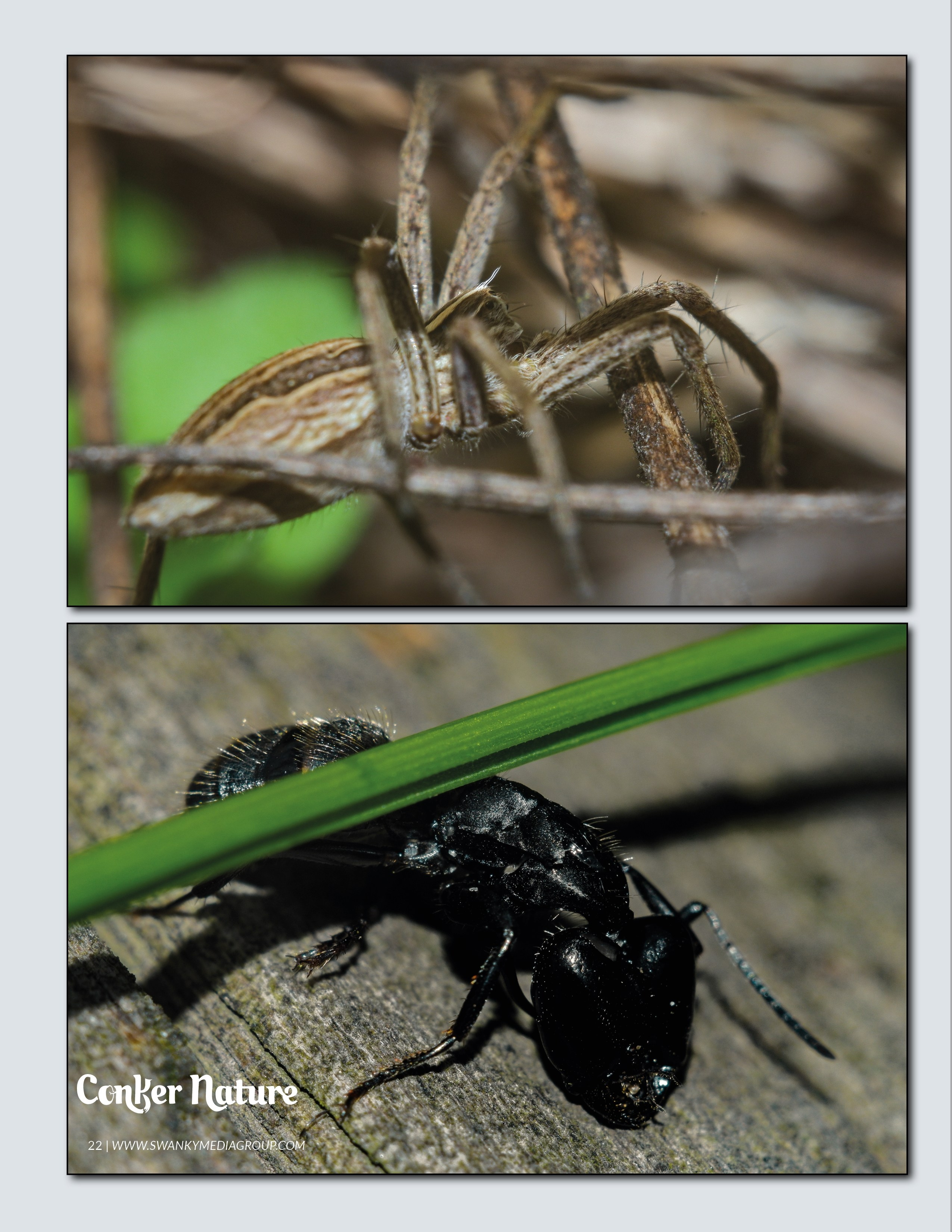 My publications in printed publications, magazines. Фотограф (photographer) Lischinski Vitaliy