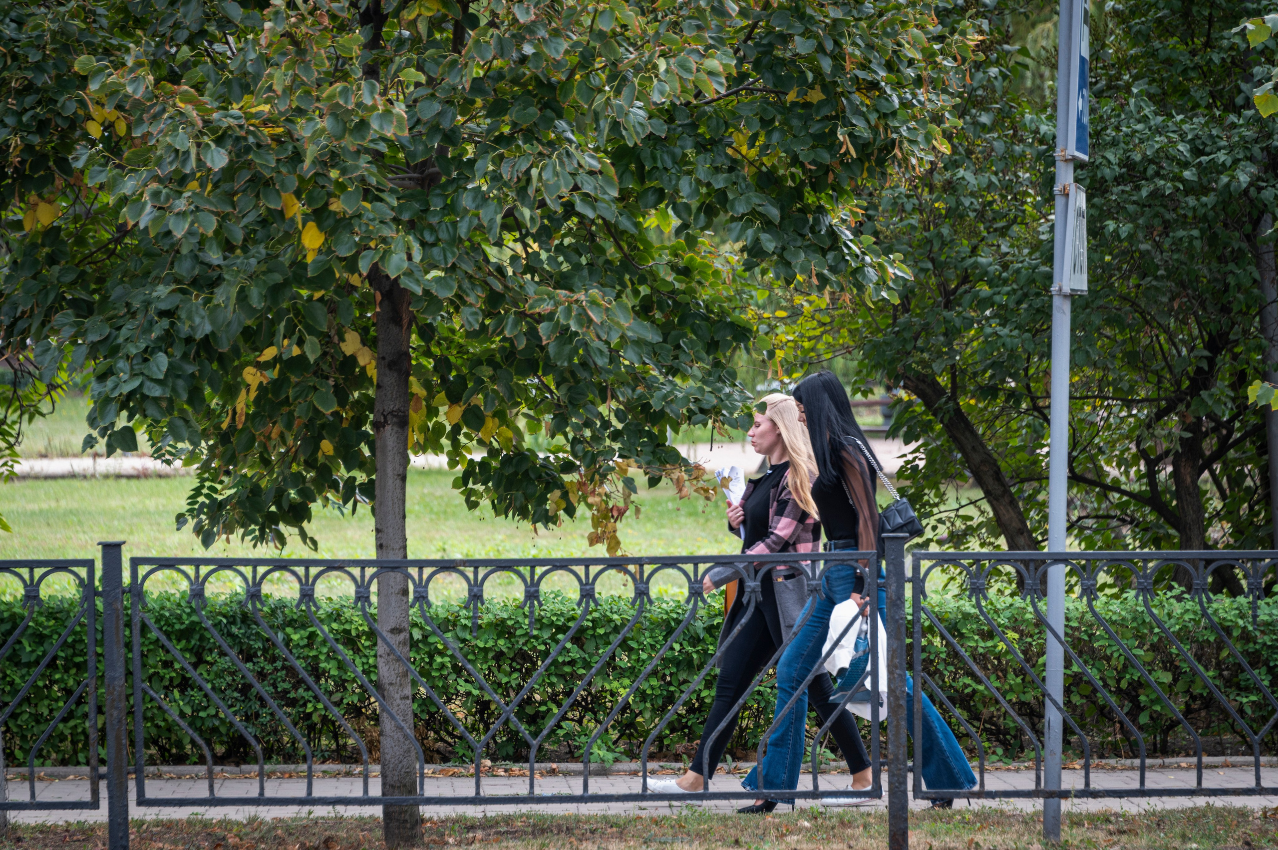 Фото для презентации фотопроекта «Территории». Фотопроект «Территории»