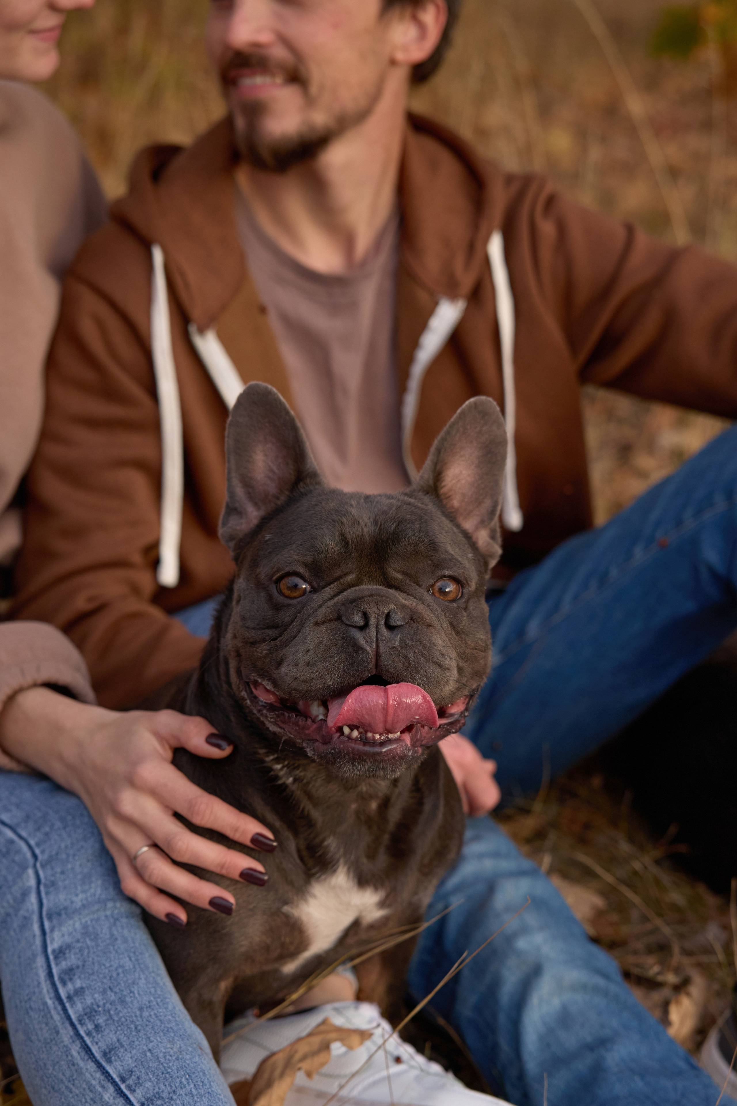 Семейная история. Фотограф анималист в Казани Алина Сулейманова. Фотограф животных