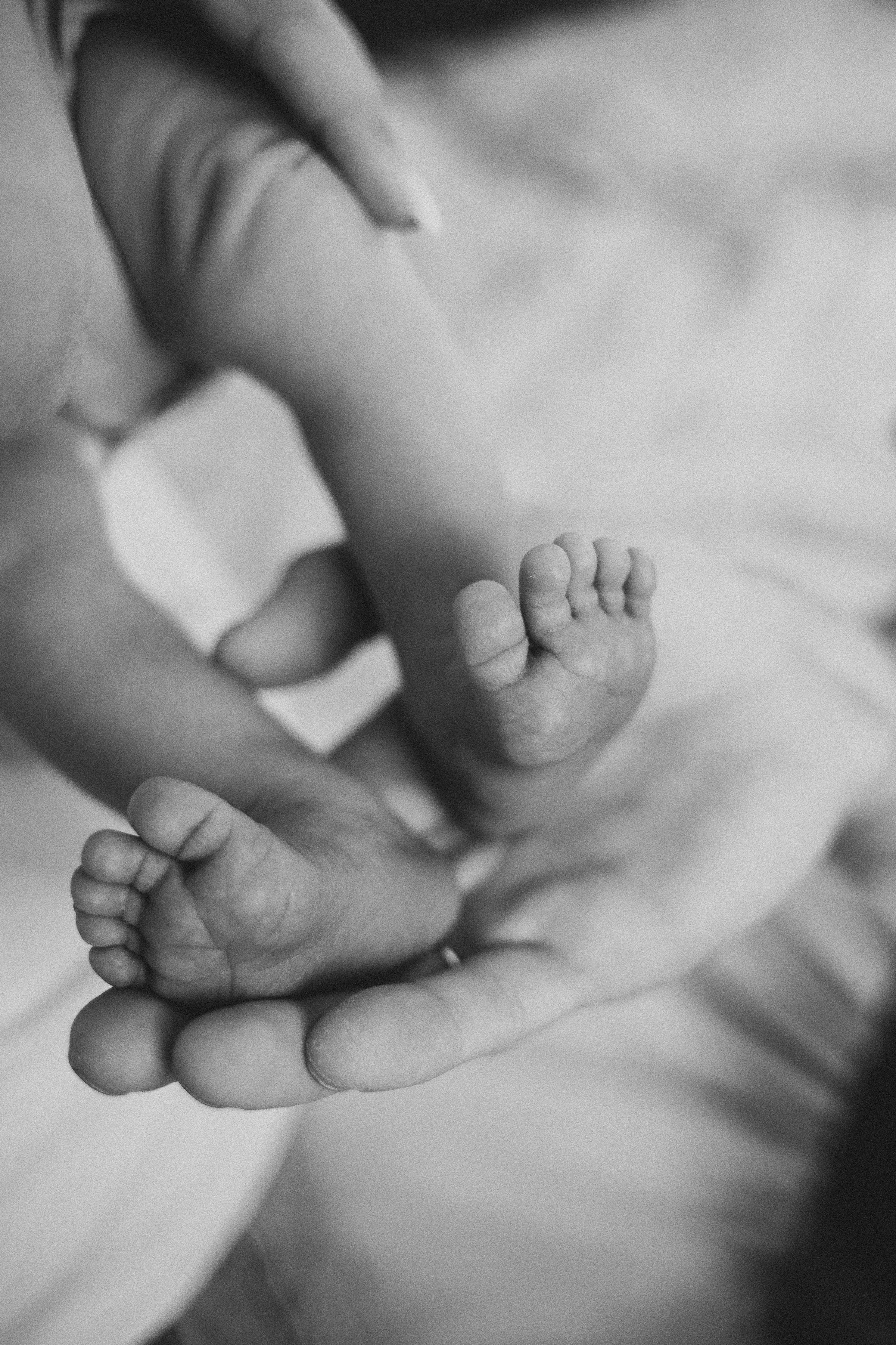 Паша/Катя/Алиса/Тимофей/Егор. Свадебный и семейный фотограф в Екатеринбурге