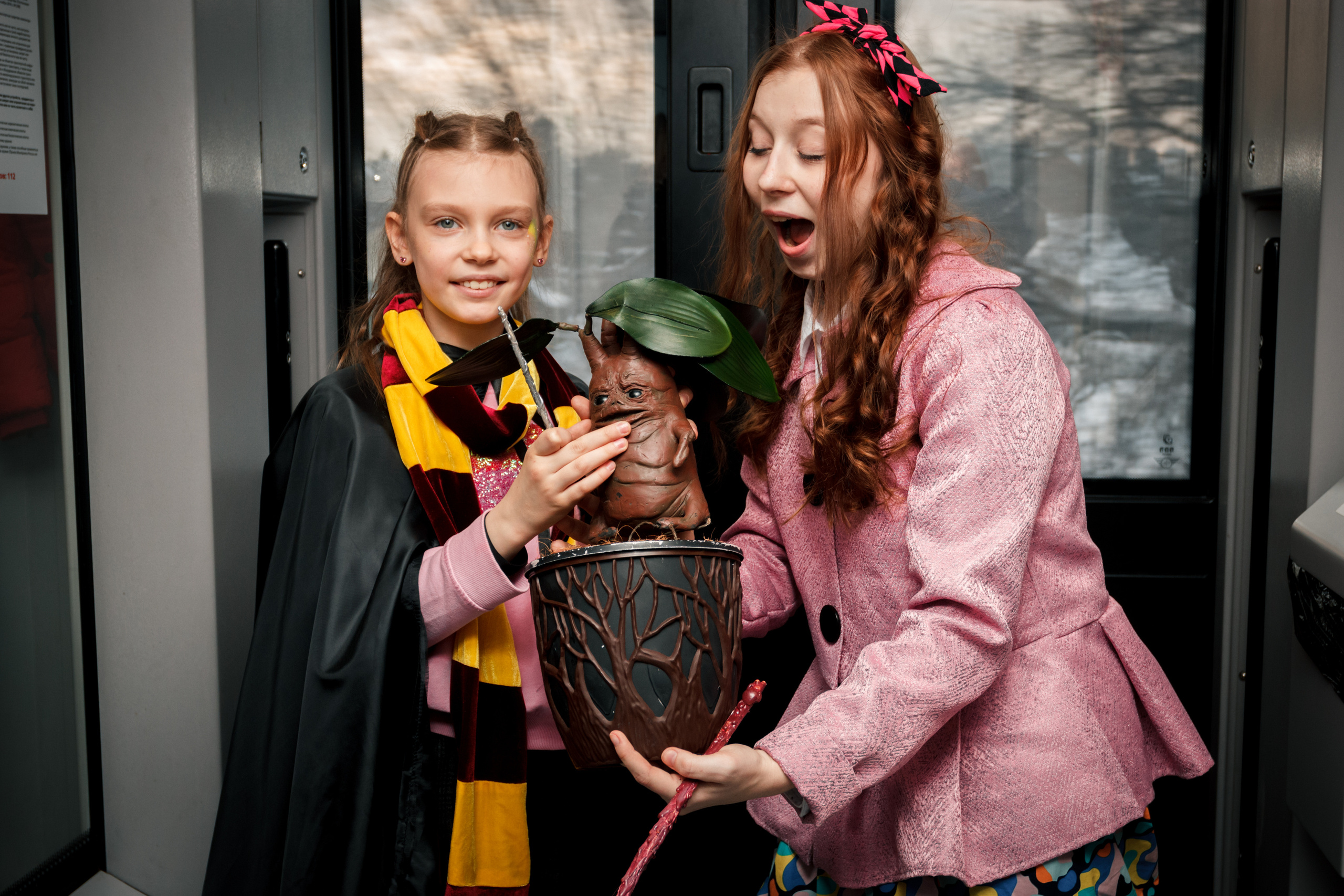 Хогвартс. Фотограф в Самаре Диана Анисимова