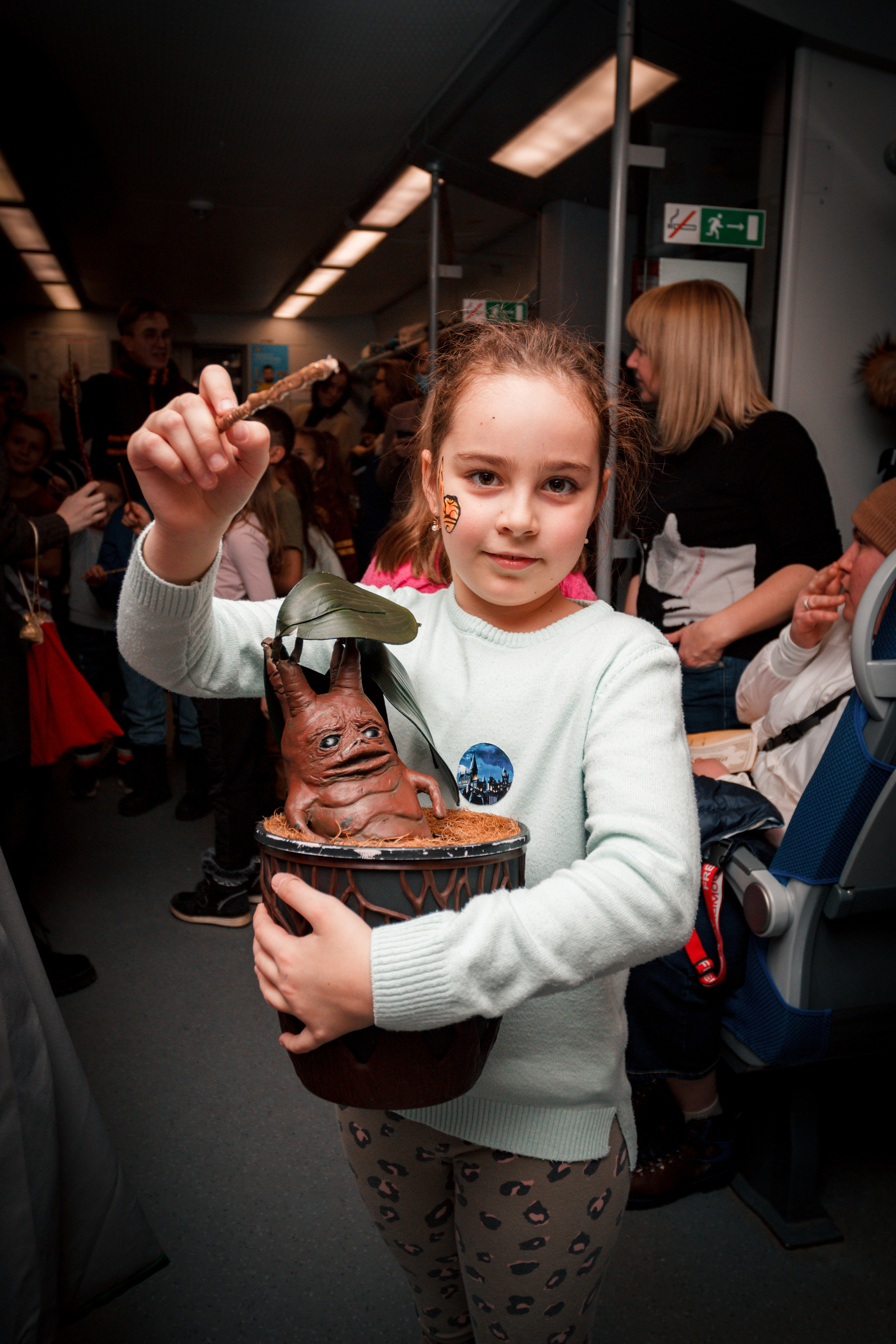 Хогвартс. Фотограф в Самаре Диана Анисимова
