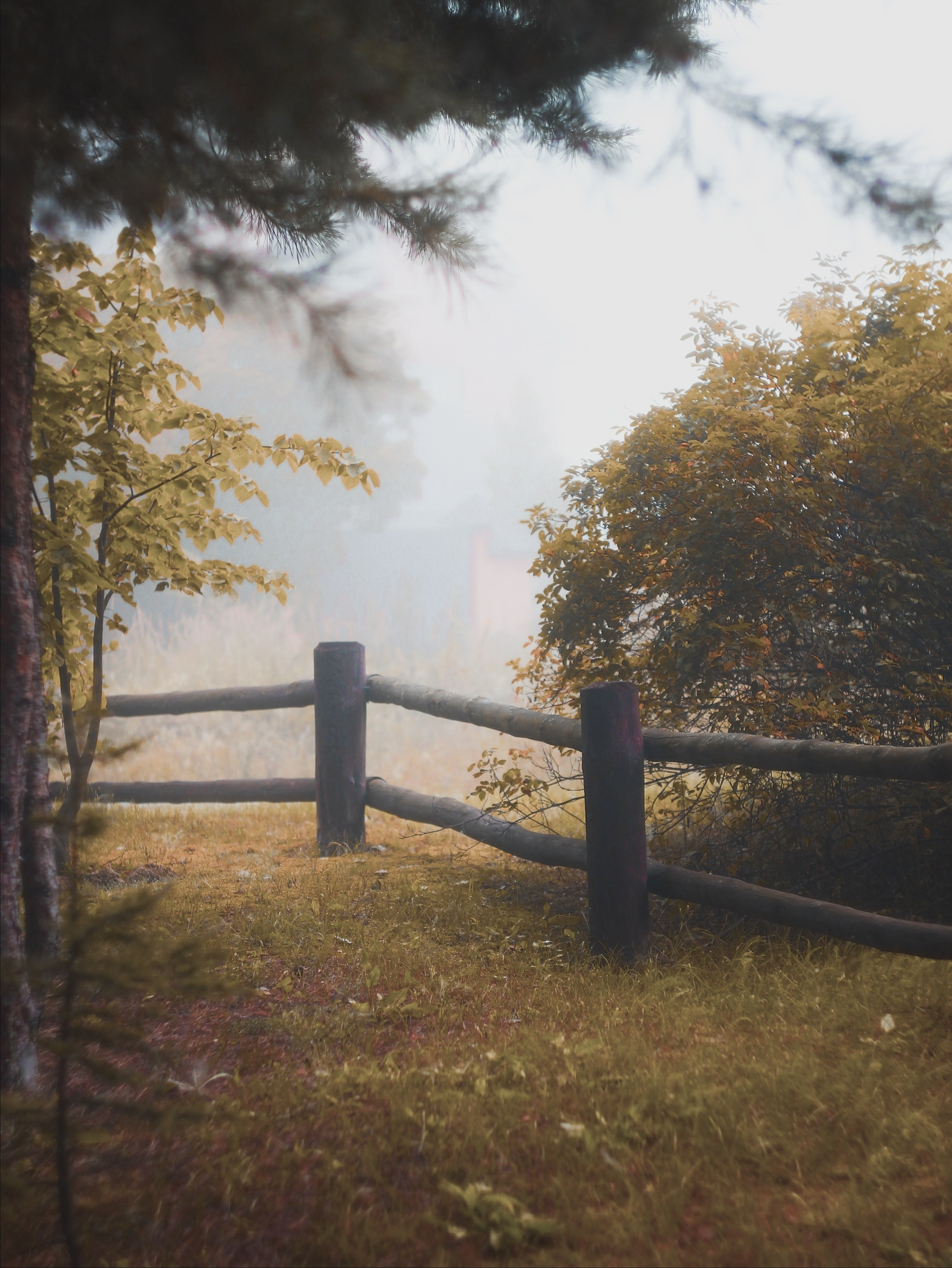 Меланхолия августа. С любовью, фотохудожник
