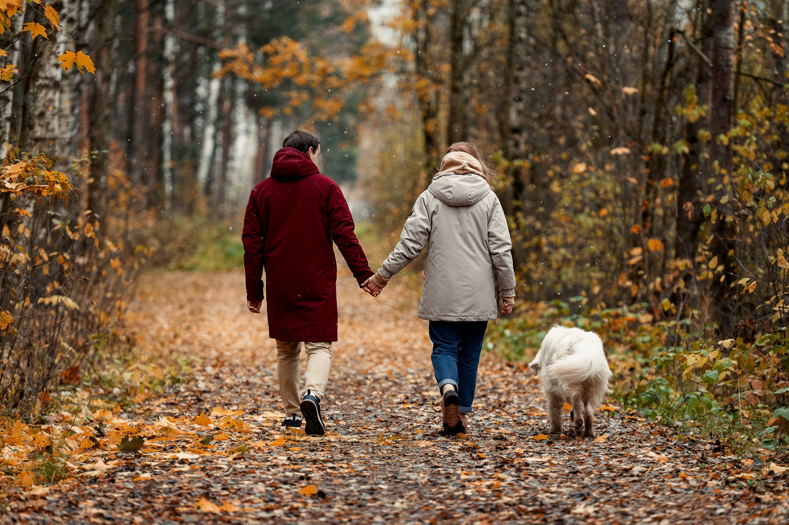Айс и золотая осень. Фотограф-анималист