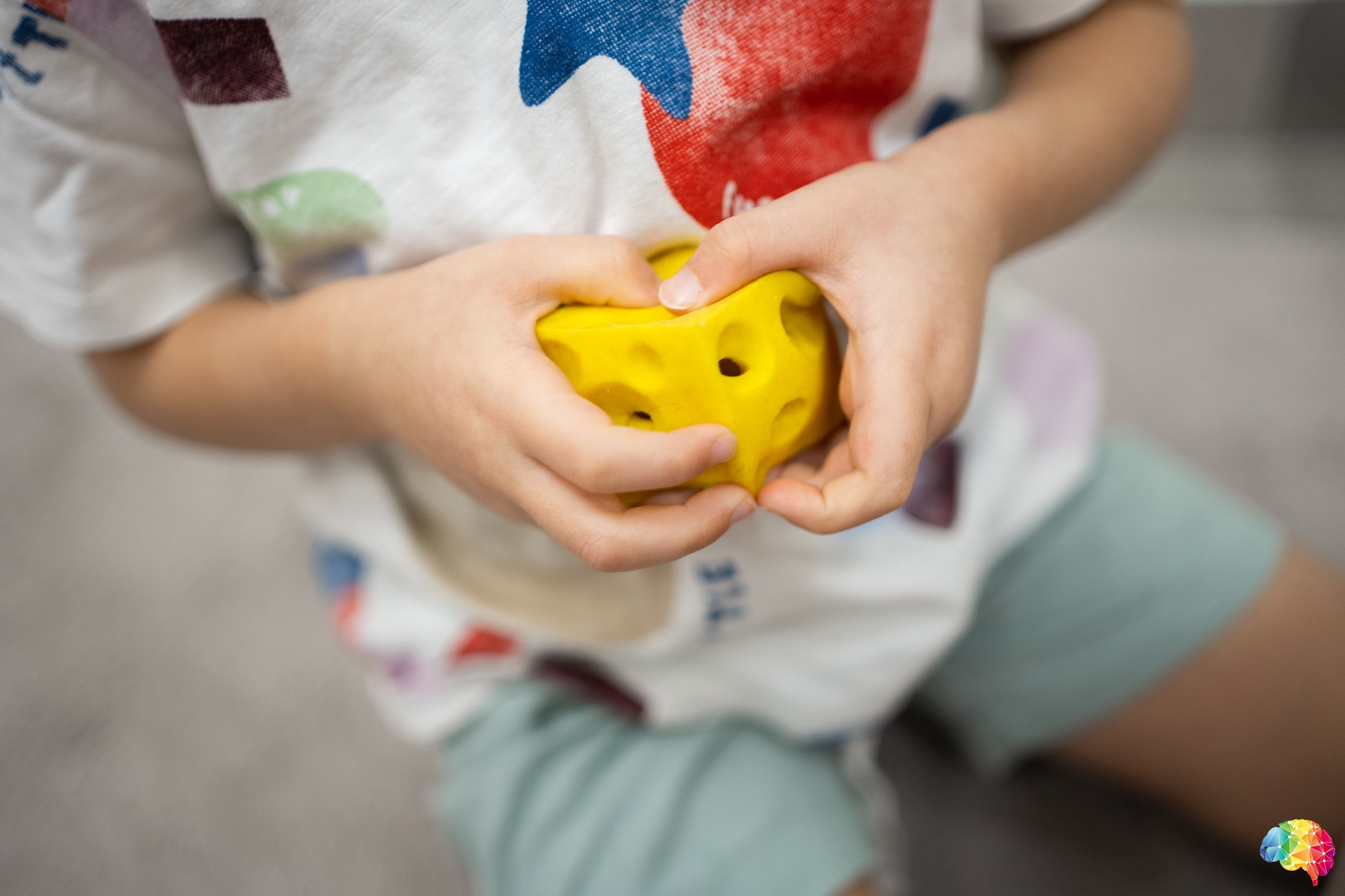 Центр развития интеллекта. Фотограф на любое событие в Кемерово
