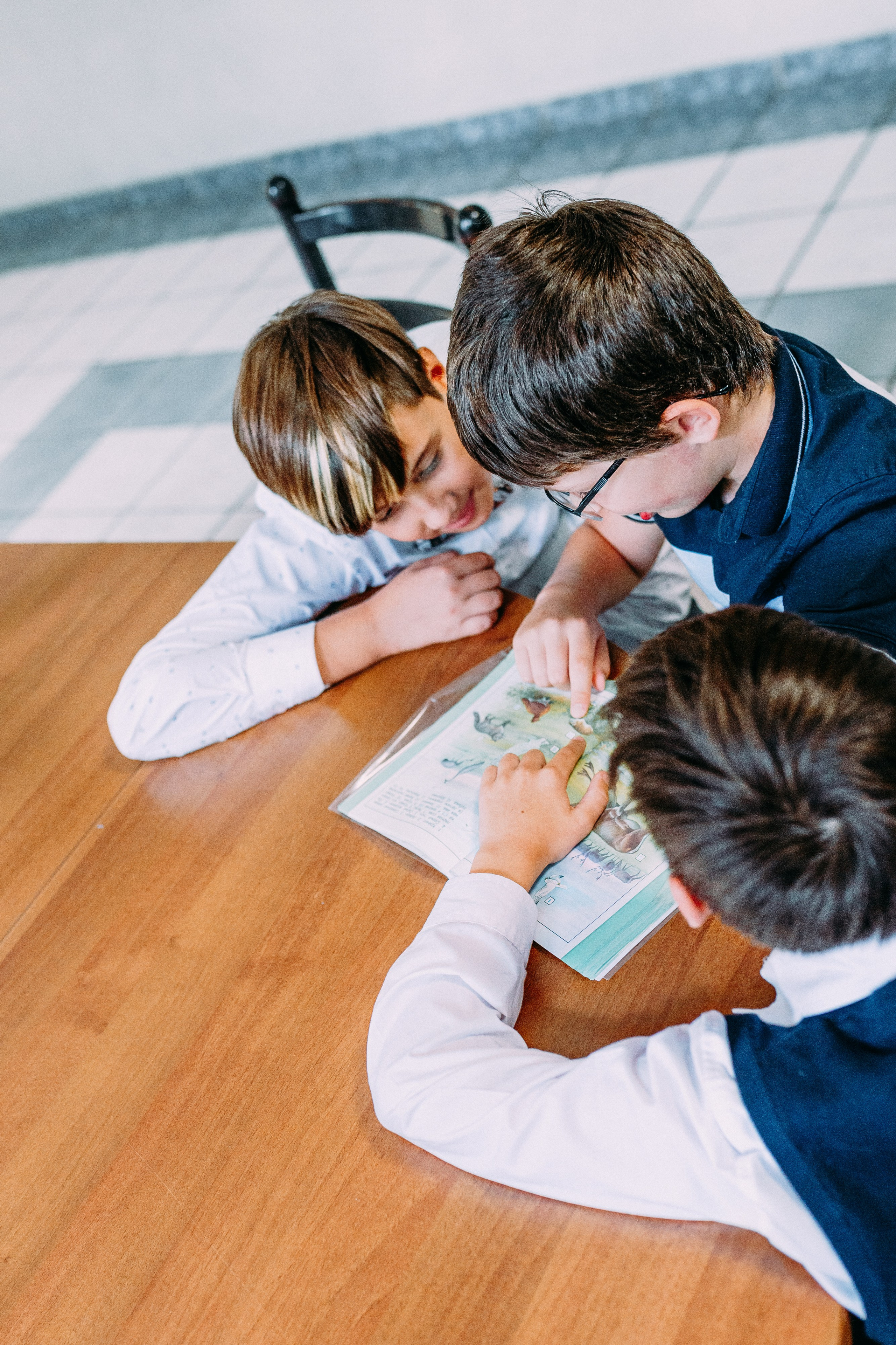 4 класс. Школьные альбомы и альбомы для детского сада. Юлия Осипова. Москва