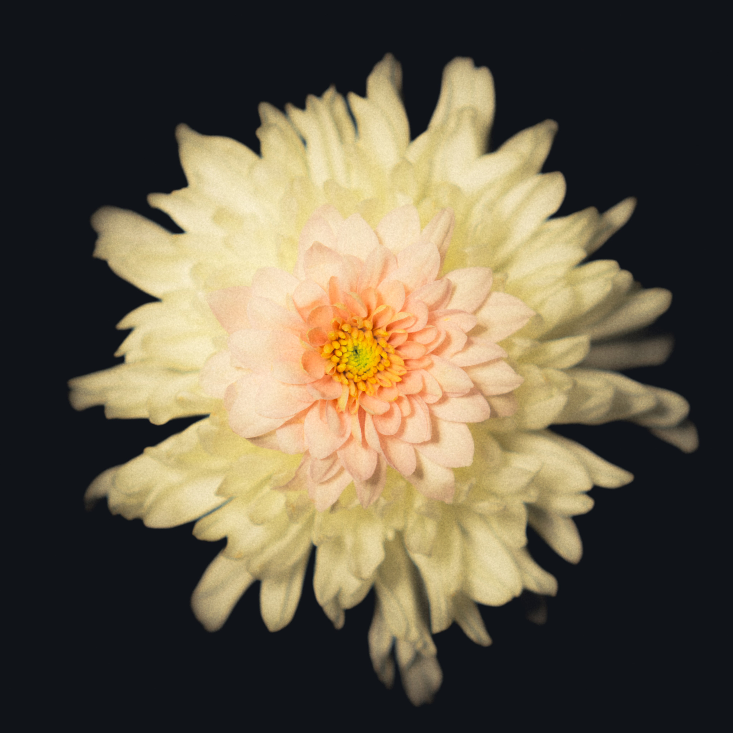 Единство (серия). Мистические фотосессии в Санкт-Петербурге от мистика Ильи Шенгелия