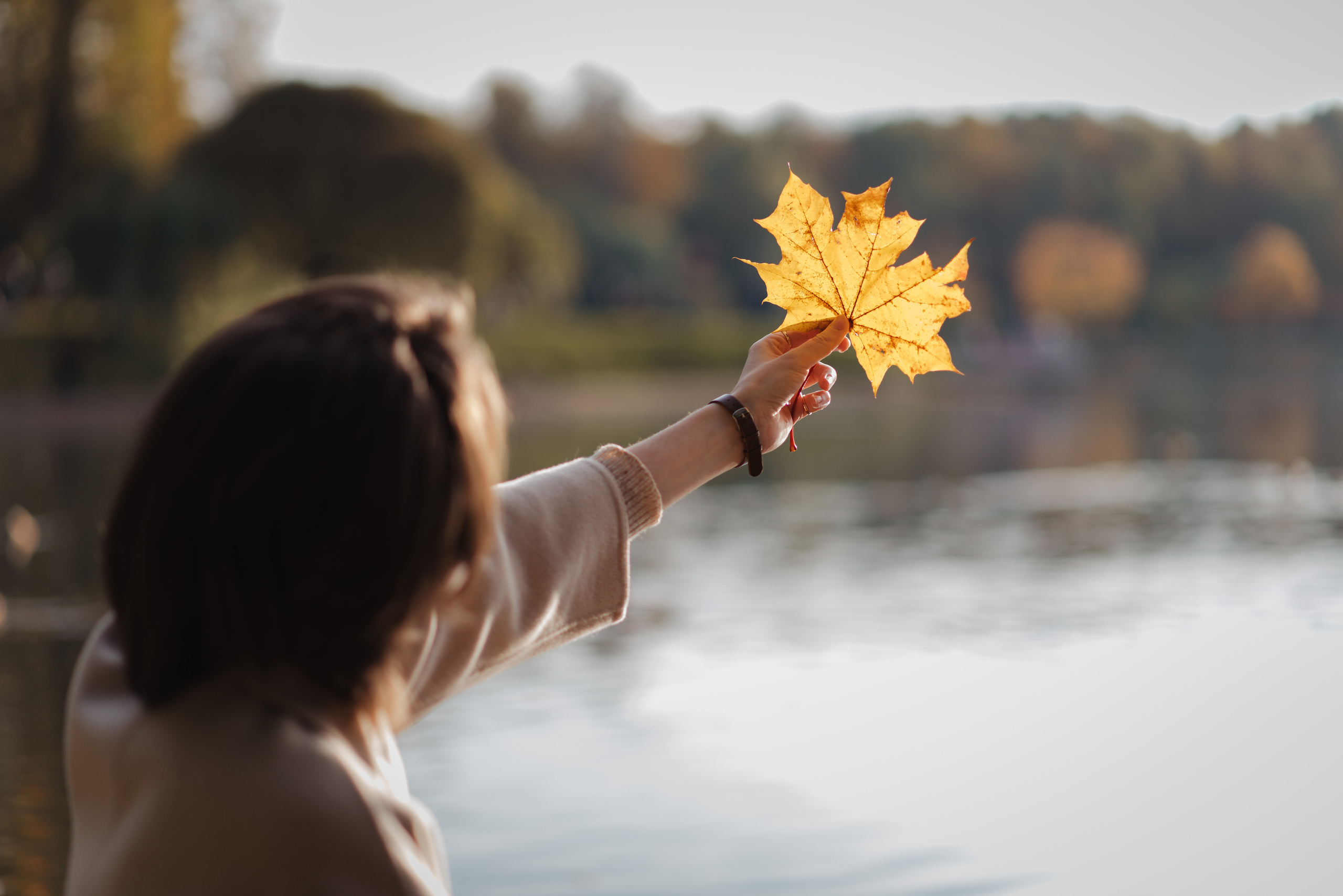 Семейные и школьные съёмки. Анна Абрамкина душевный фотограф в Москве
