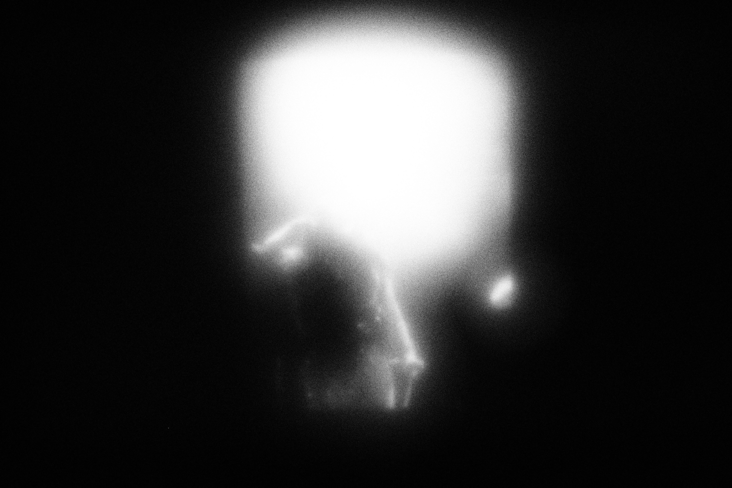 Маленькие искусства и я, Полина Шадрина