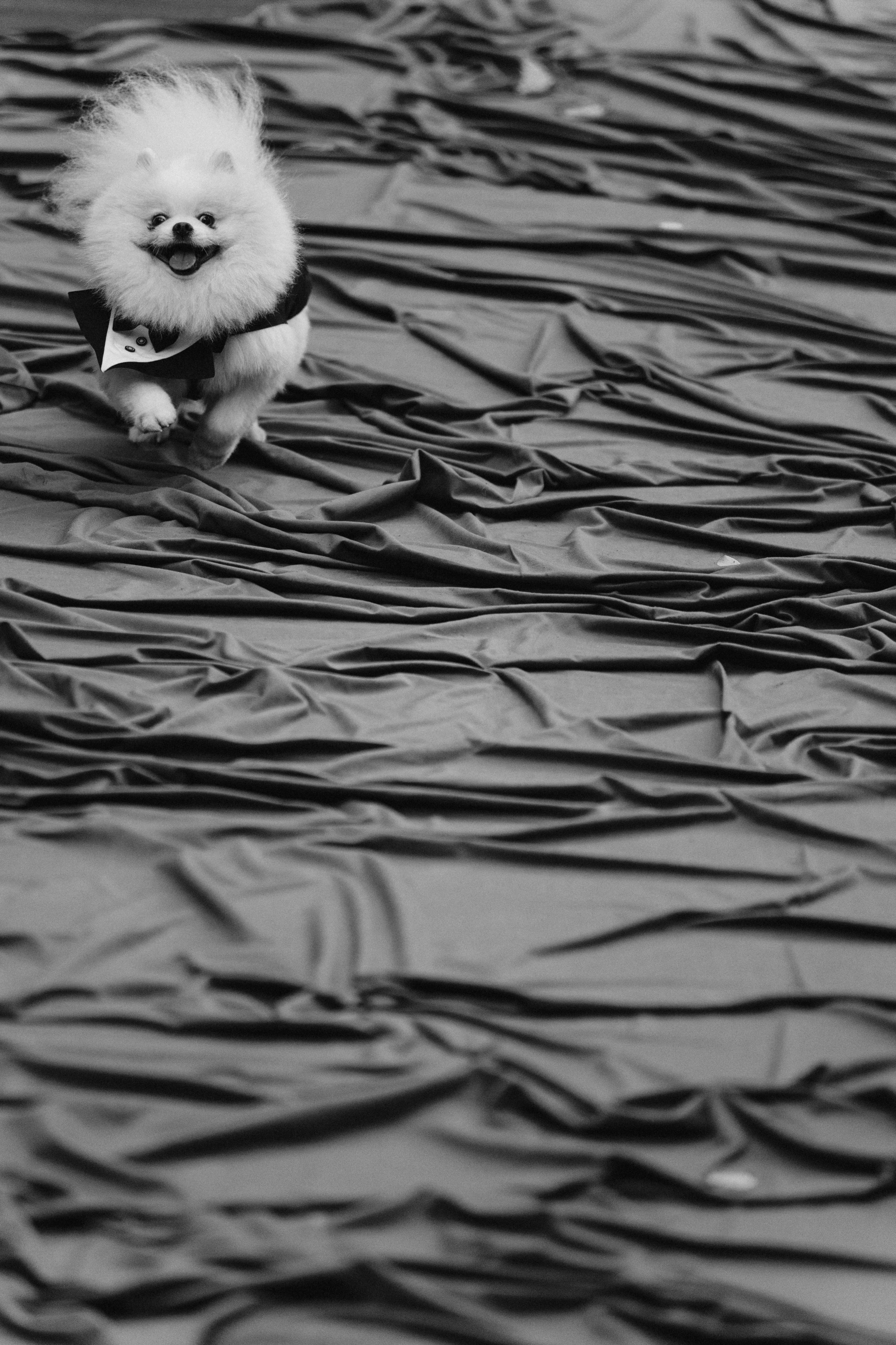 HIDE. Свадебный фотограф Павел Князев