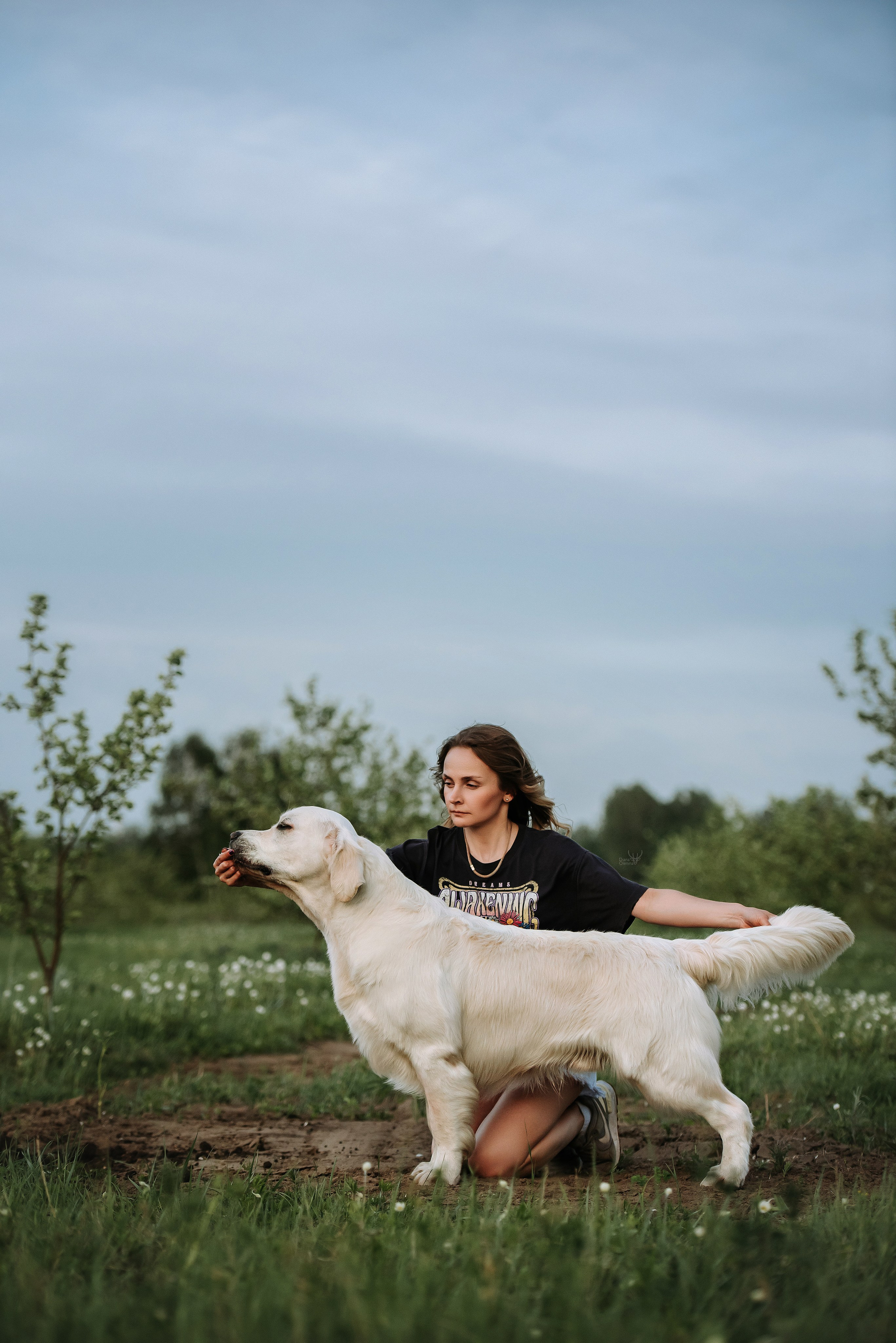 Собаки уличные. Фотограф Диана Оленина Красноярск / Братск