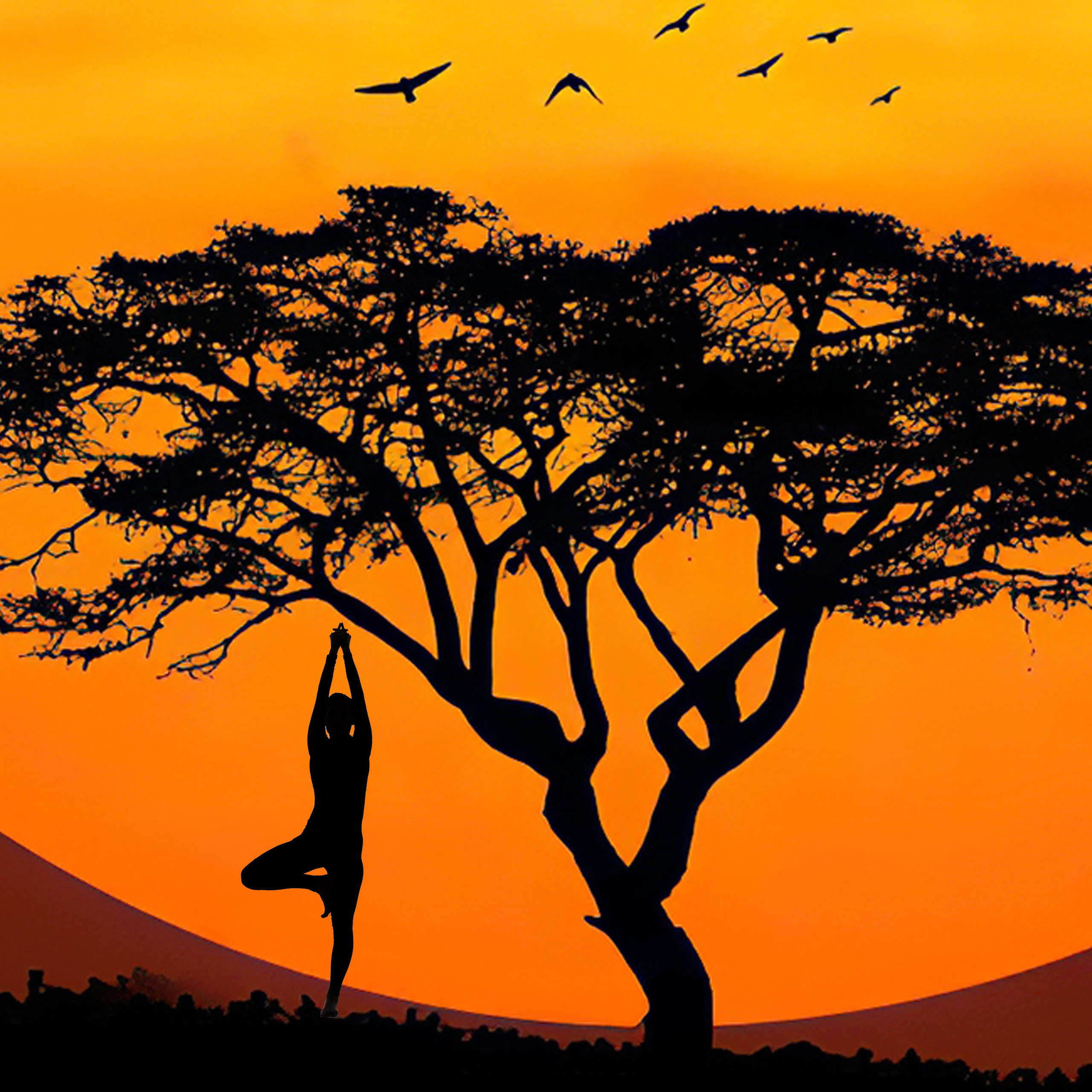 Йога. Евгений Уфаев, фотограф