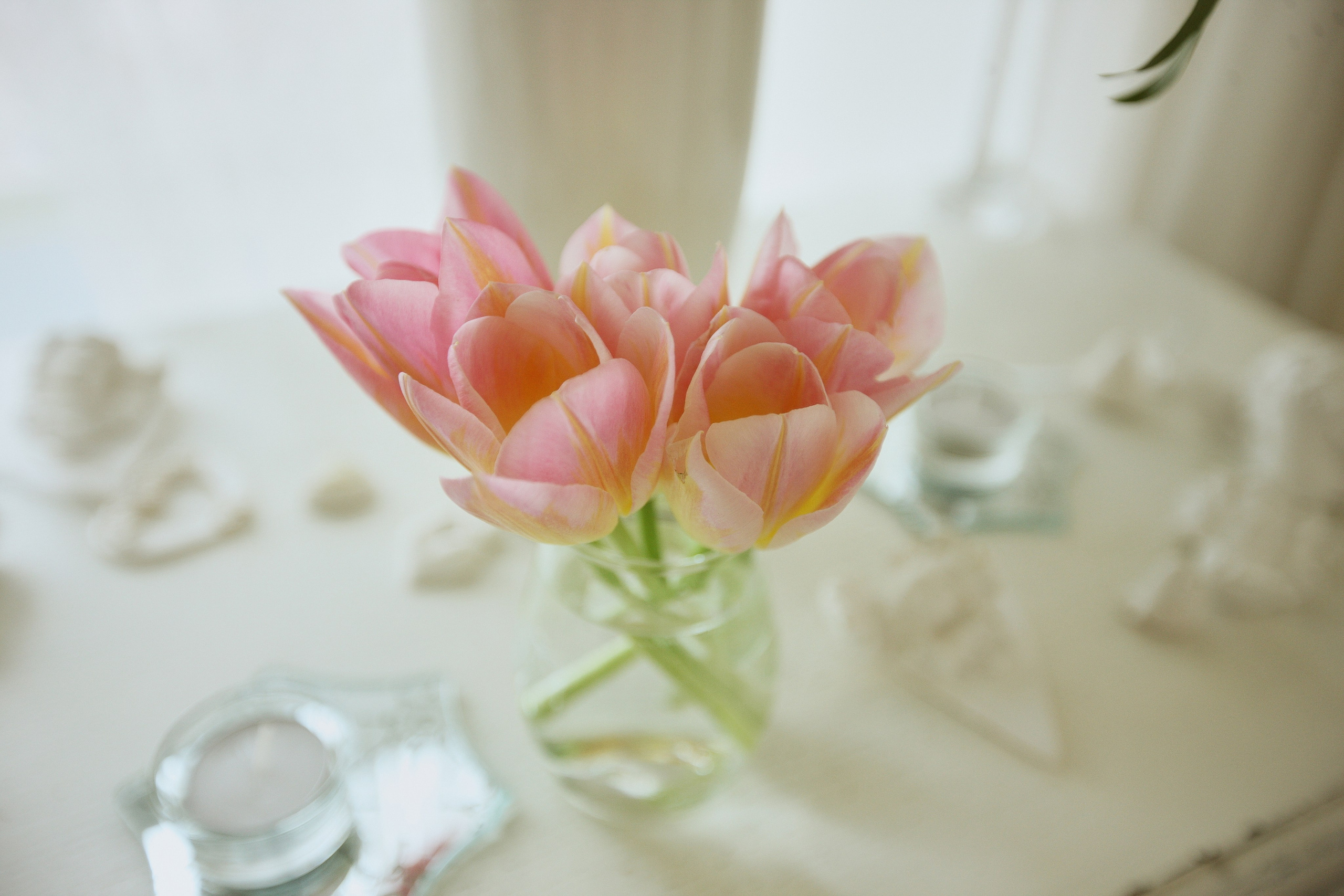 Осеняя свадьба. Фотограф Елизавета Маслова. Москва. Art, Fashion