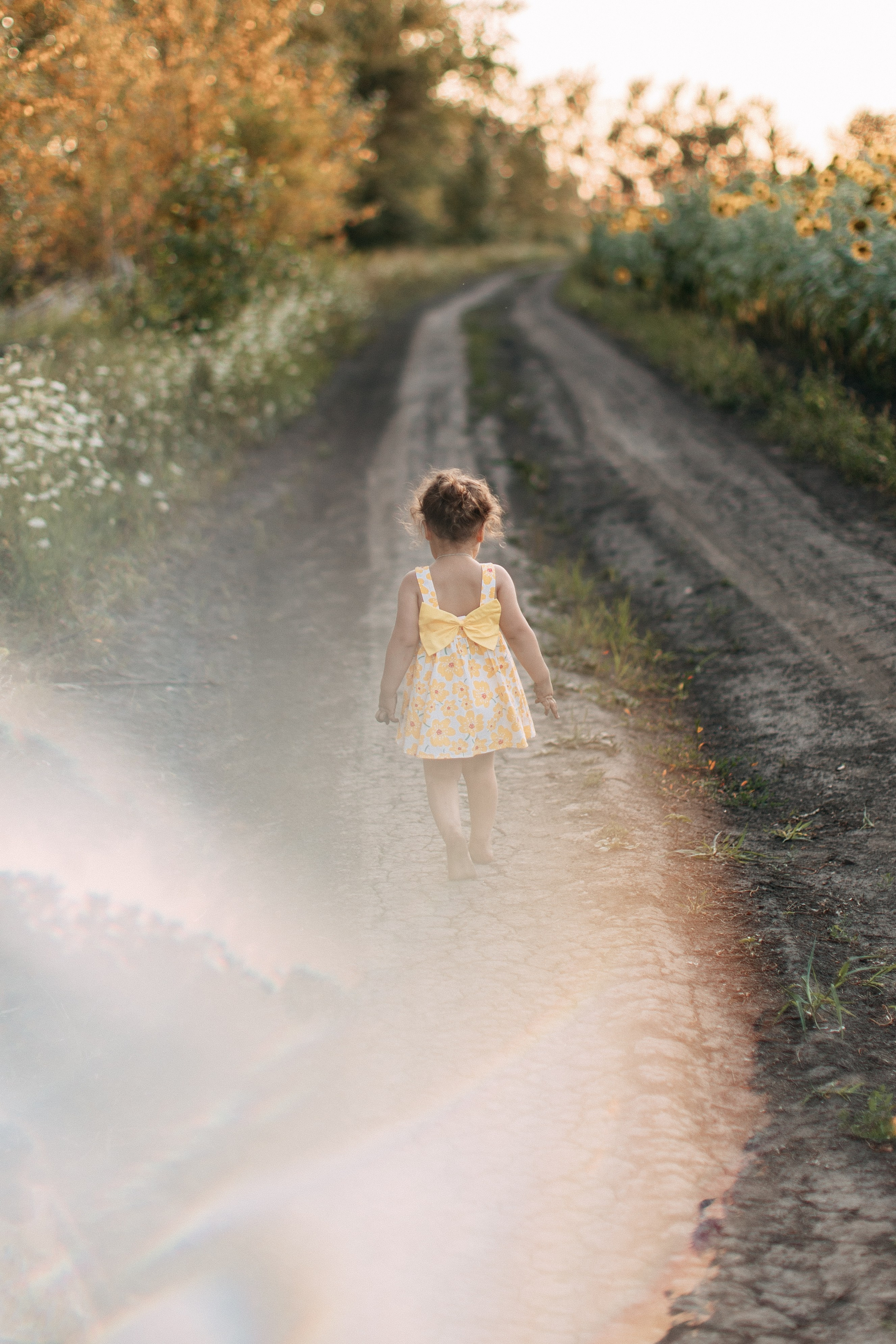 Море подсолнухов. Фотограф Катя Дубовик