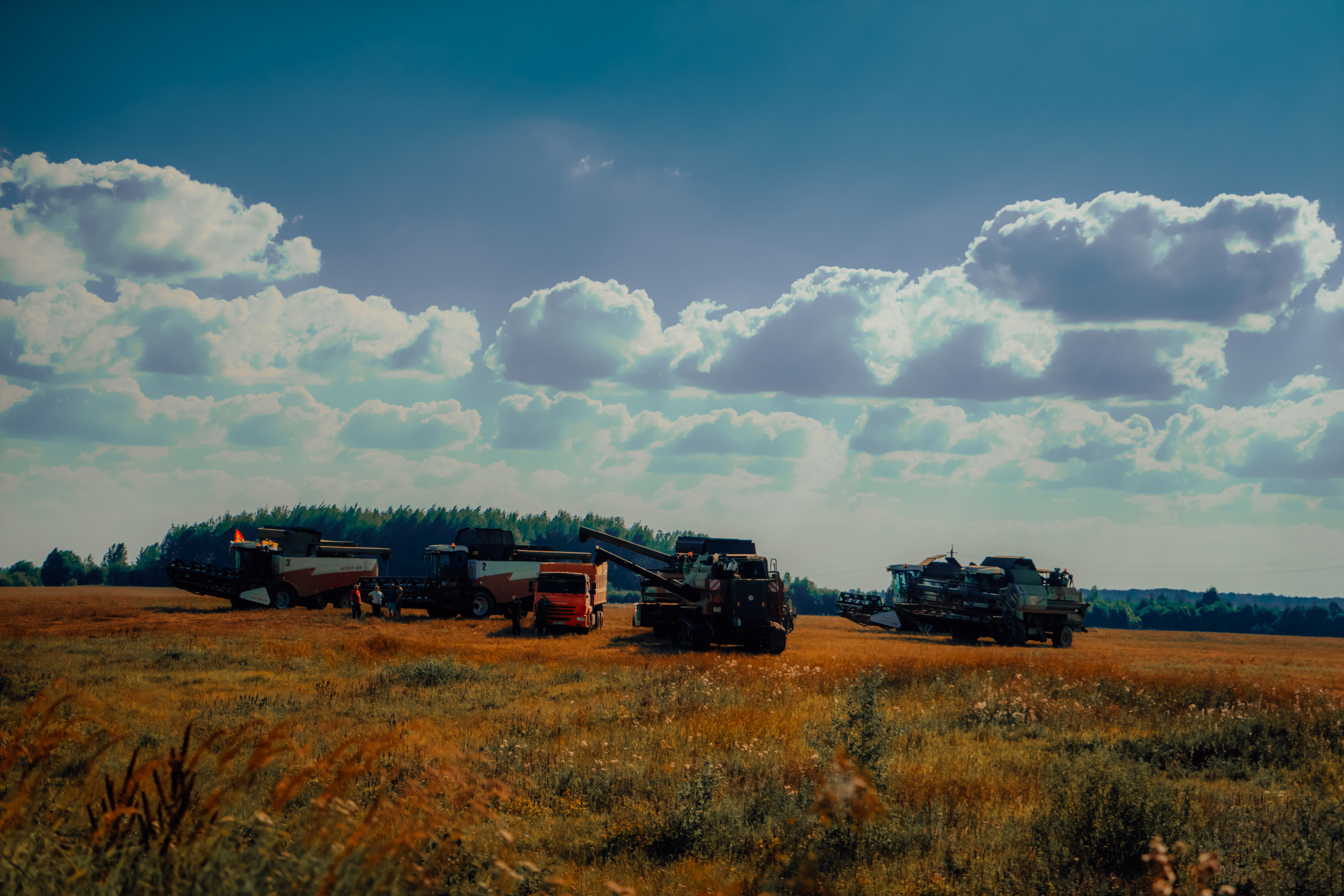 Стрит 2023-2024. KiPPER Gallery — Фотограф