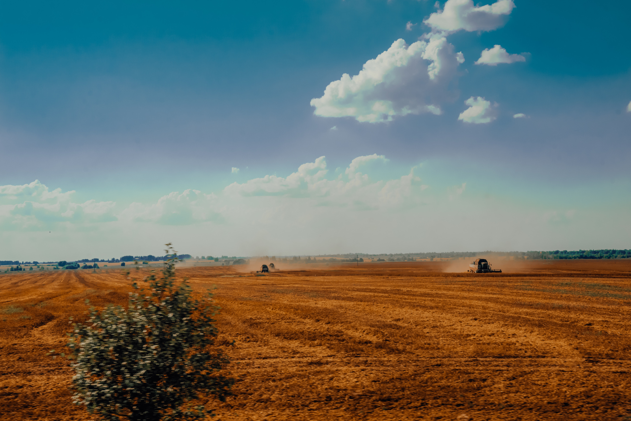 Стрит 2023-2024. KiPPER Gallery — Фотограф