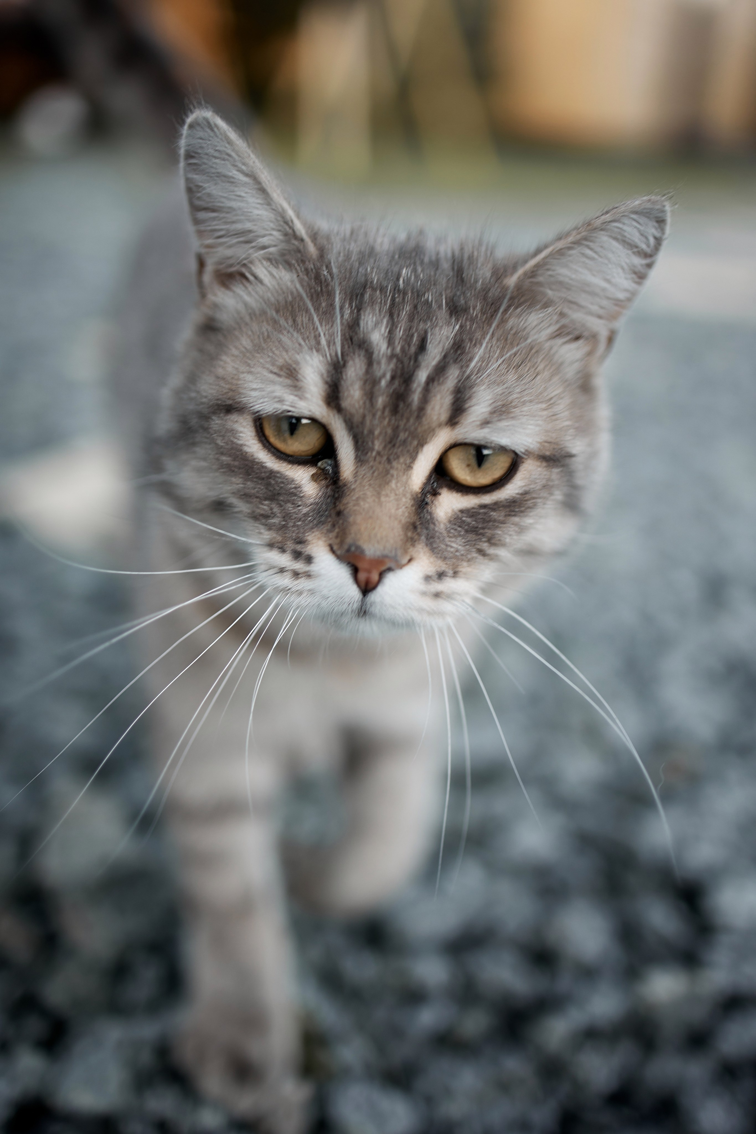 фотограф Курган свадьба Челябинск Тюмень