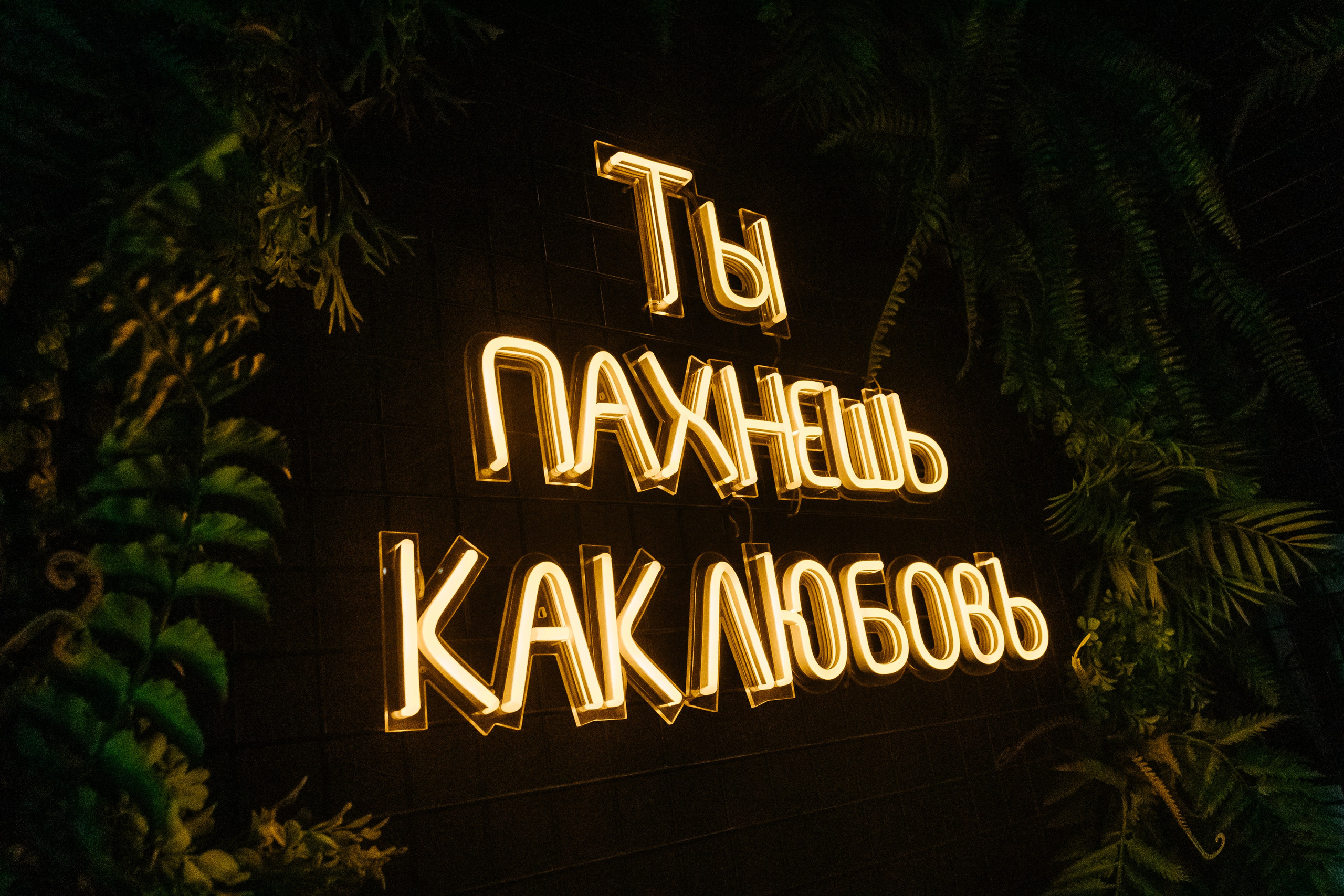 Анжелика и Владислав. Свадебный фотограф Минск, Фаниполь, Беларусь Кирилл Напреев