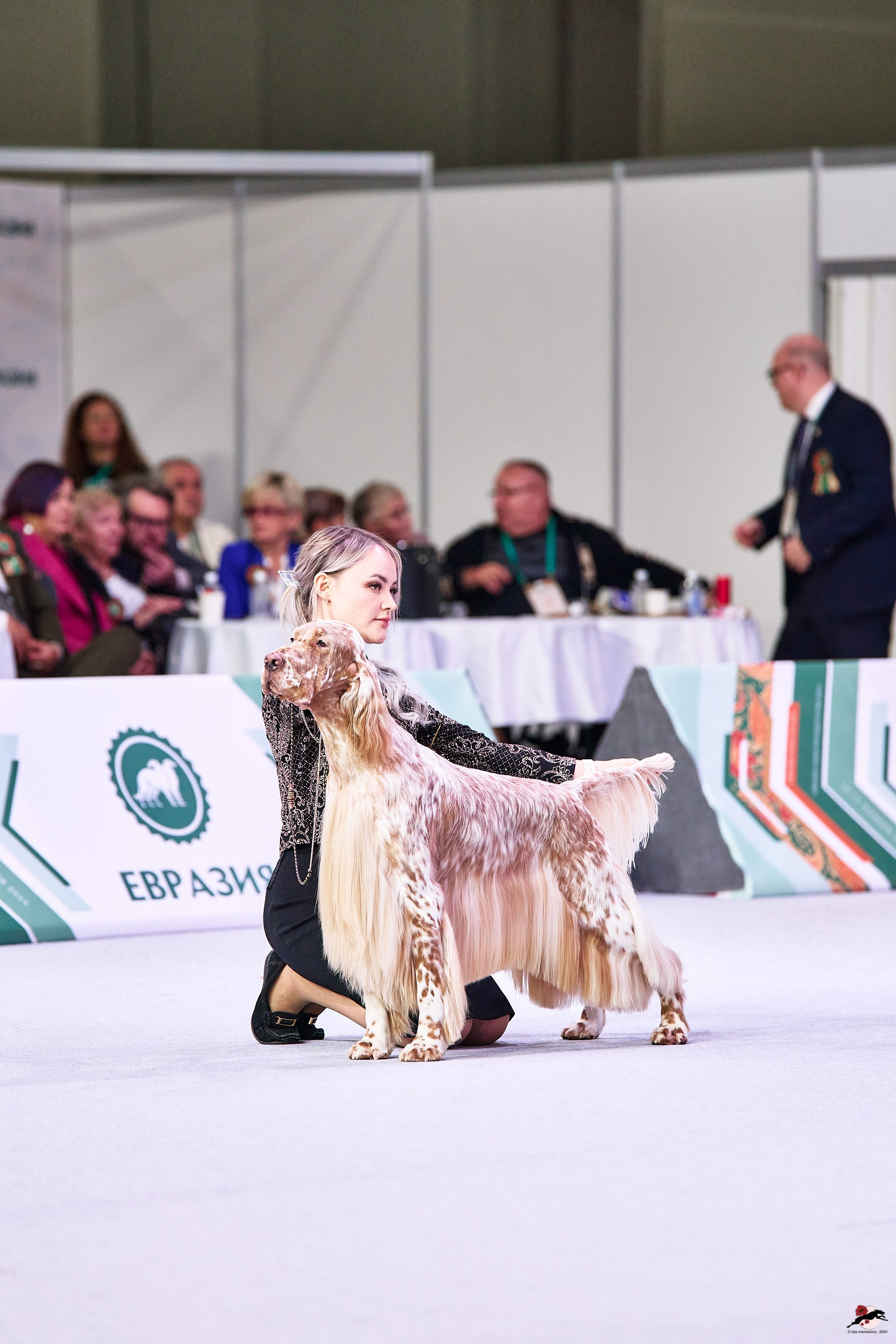 16.11.2024 «ЕВРАЗИЯ. КУБОК ПРЕЗИДЕНТА РКФ 2024»