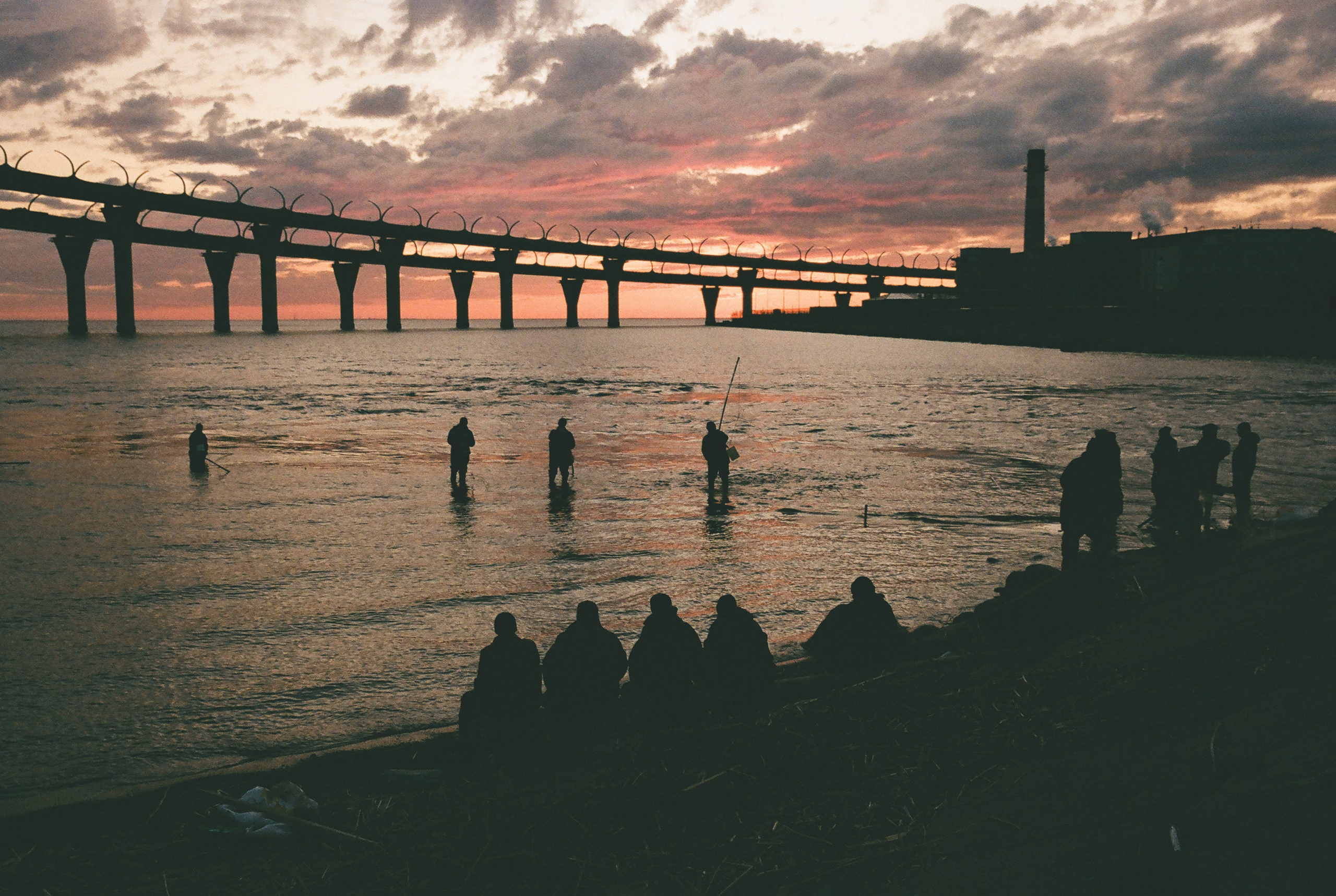 Фотографии цветные. Свадебный и семейный пленочный фотограф в Петербурге Истомина Ирина