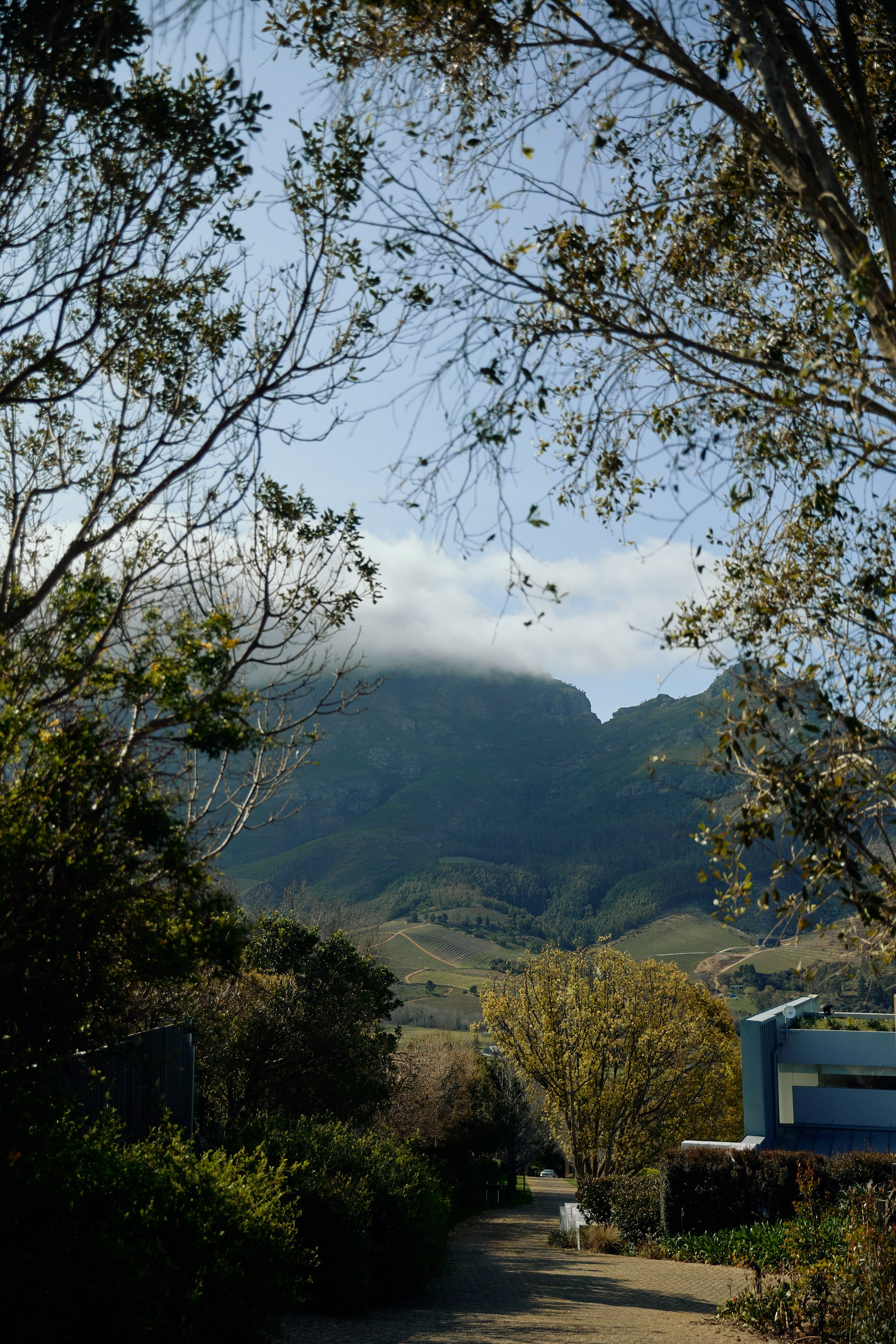 SOUTH AFRICA EMBA 38. Дмитрий Мазуркевич: Профессиональный Репортажный Фотограф