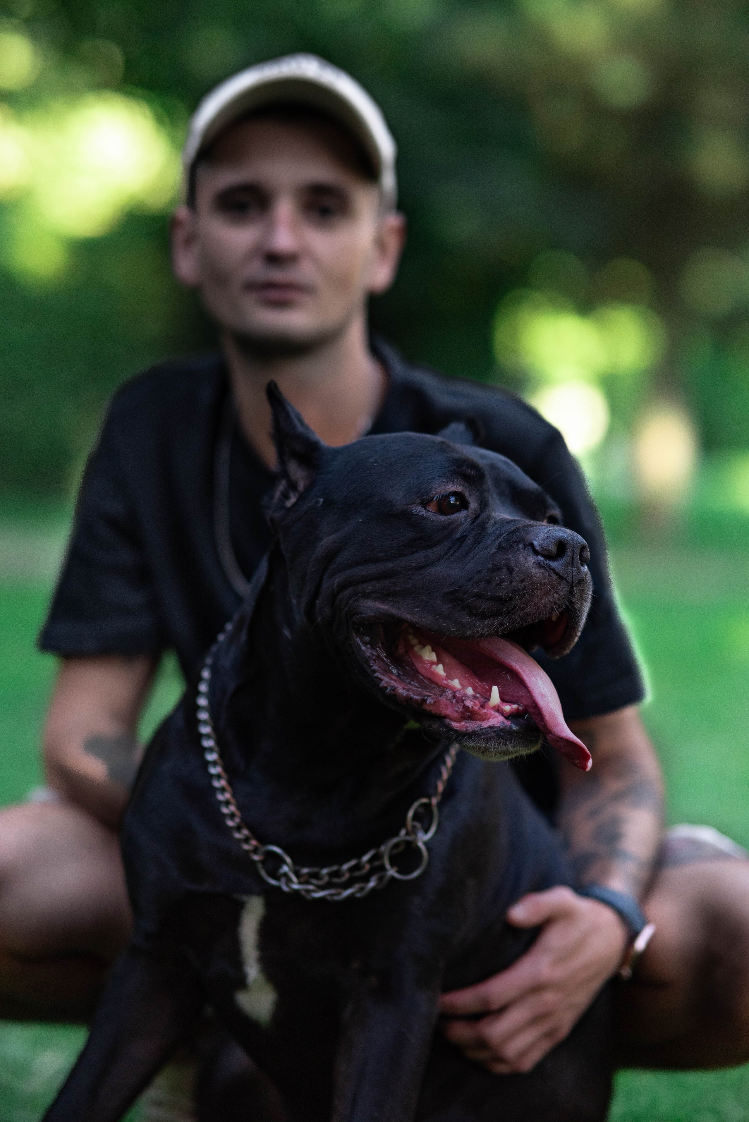 Фотосессии с собаками. Фотограф Краснодар Наталья Сувит