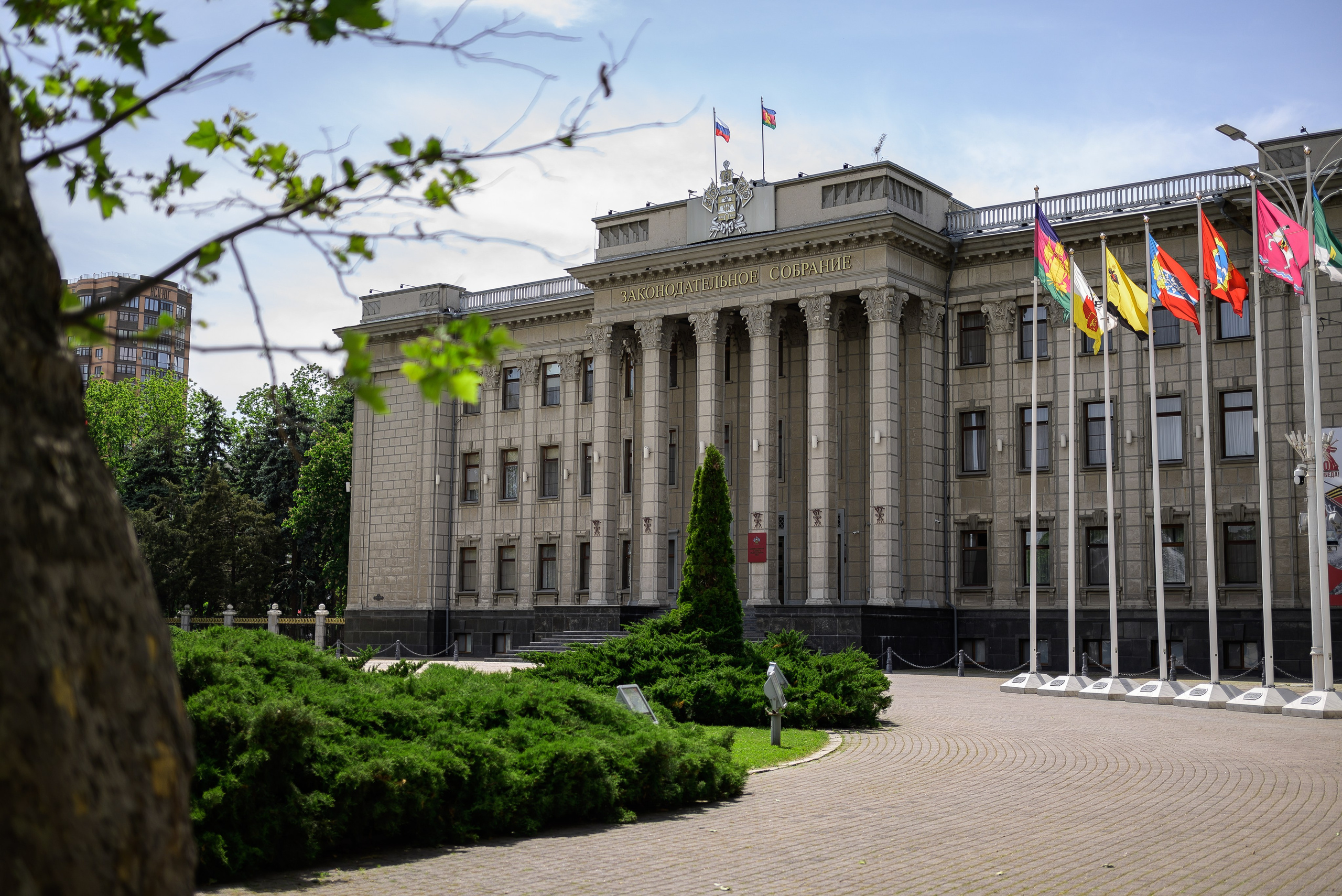 Репортаж для первого канала. Фотограф Краснодар Наталья Сувит