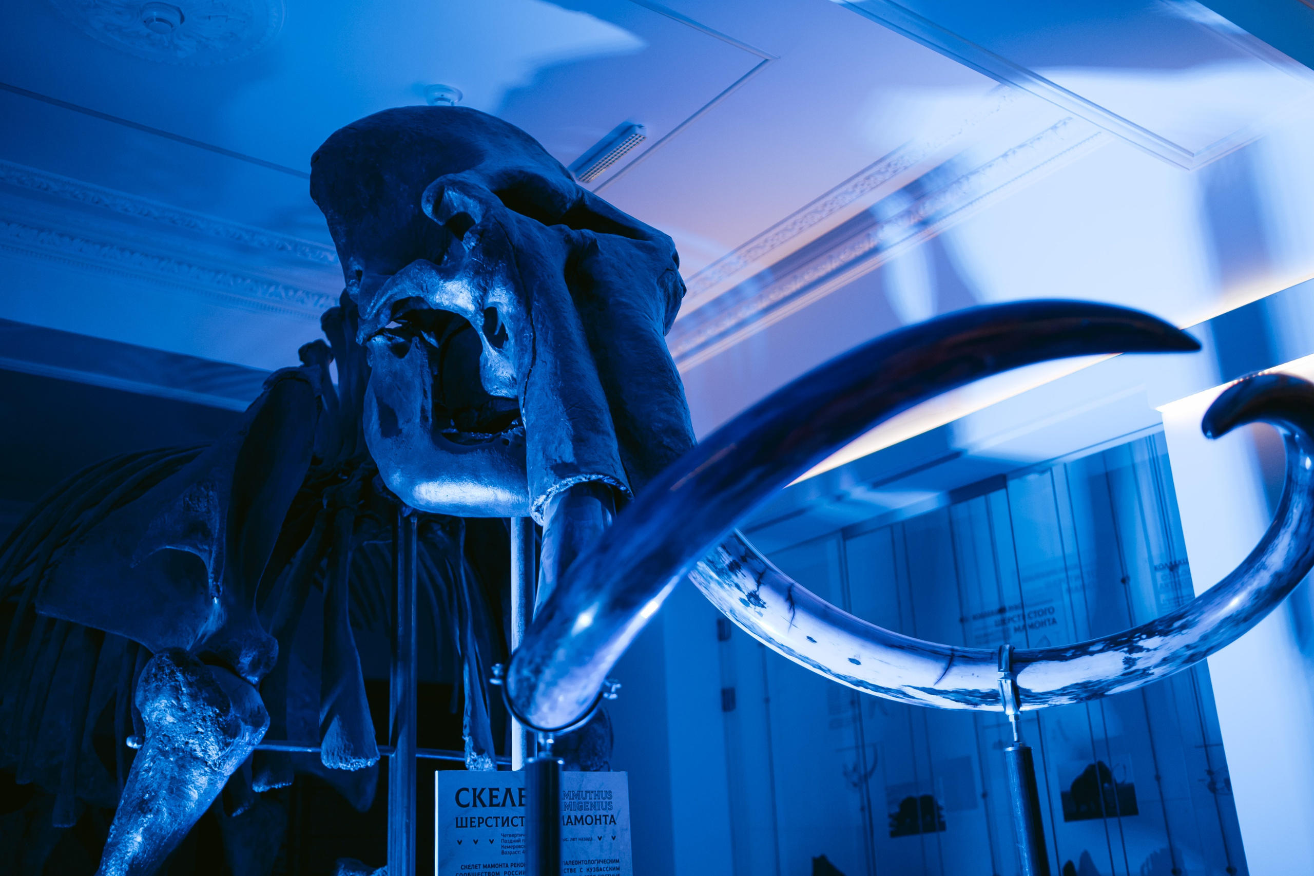 Ночь искусств 2023. Фотограф на любое событие в Кемерово