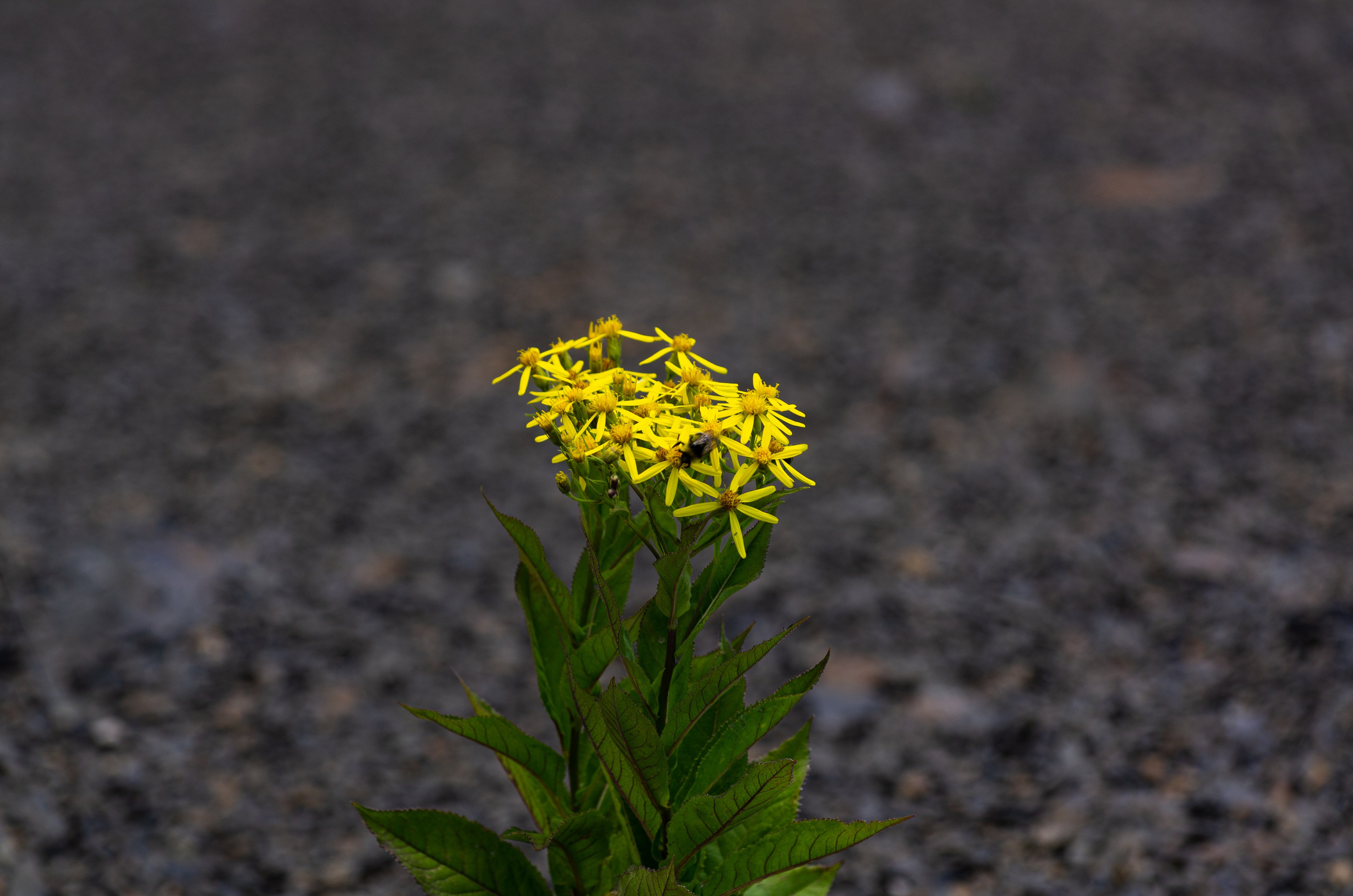 Пейзажи и архитектура. Коммерческий фотограф в Москве Садовников Алексей