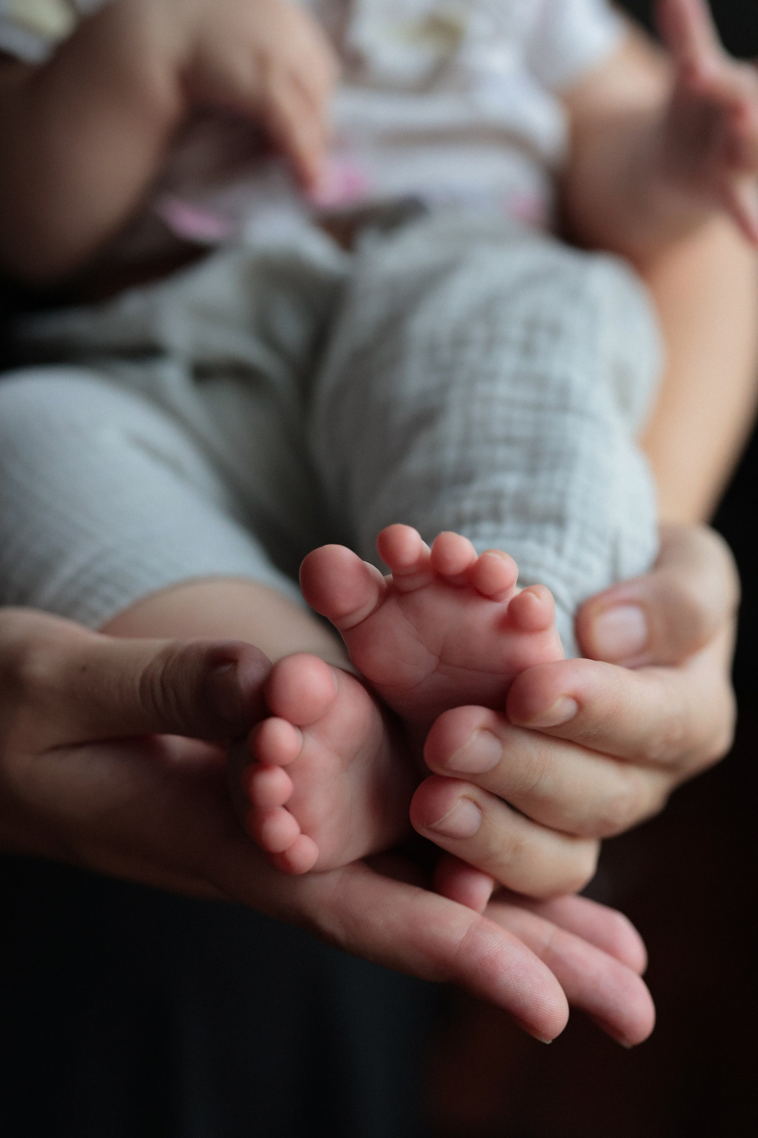 Семейные. Фотограф Стыркина Марина г. Новосибирск. Я СНИМАЮ Индивидуальные, Lovestory, Свадьбы, Семейные и контент для бизнеса