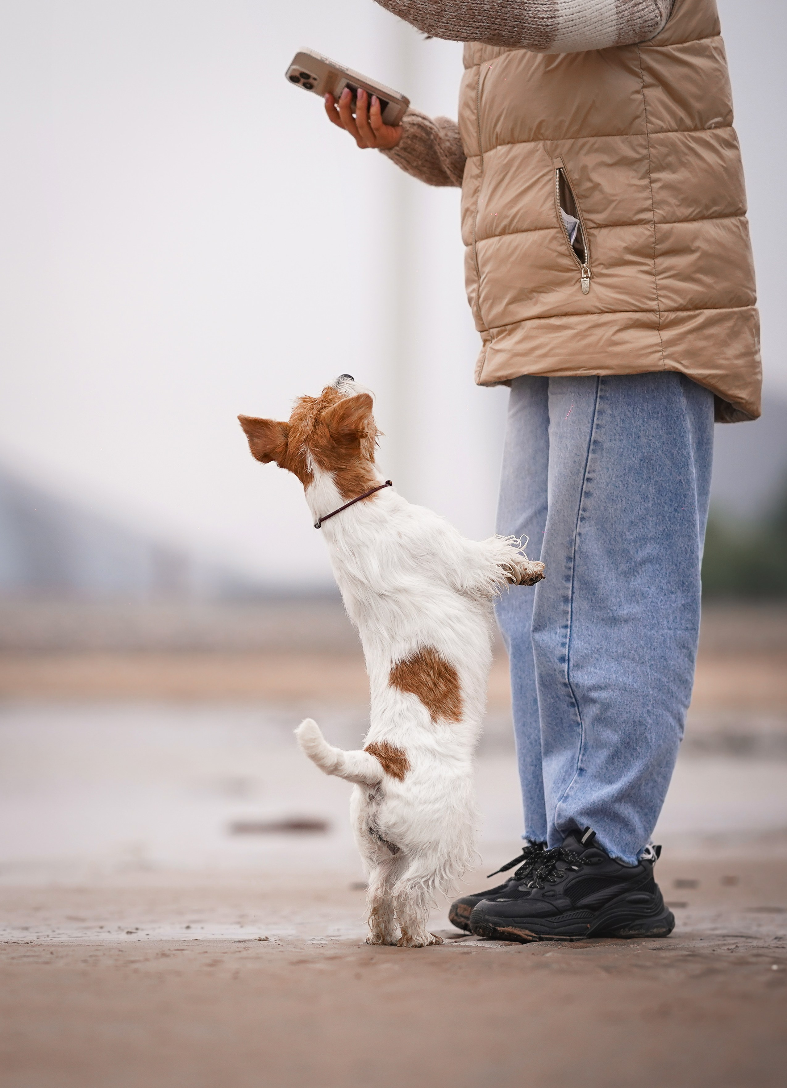 Люба и Тося. Фотограф-анималист в Санкт-Петербурге Яна Мартынова