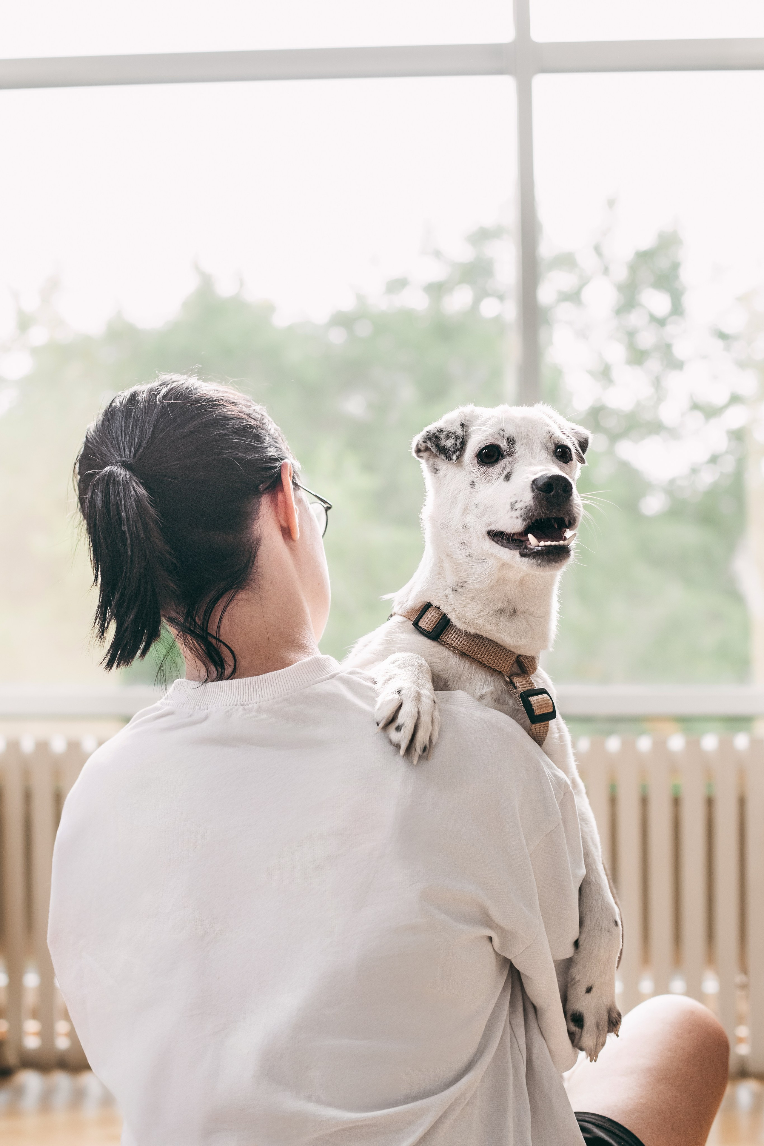 Студия лето 2025. Фотограф-анималист Татьяна Степанова